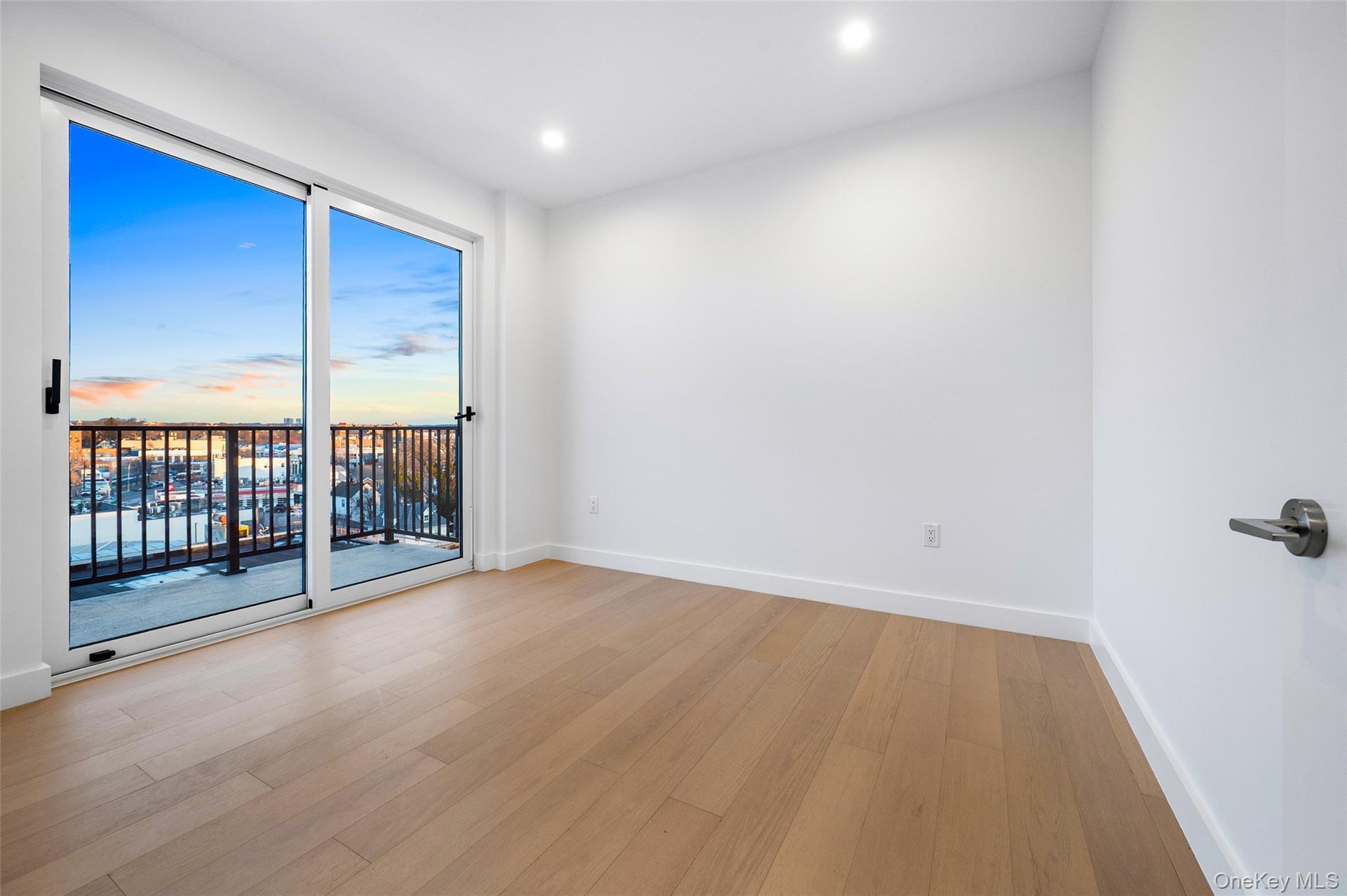 Condo Northern Blvd  Queens, NY 11354, MLS-951940-8