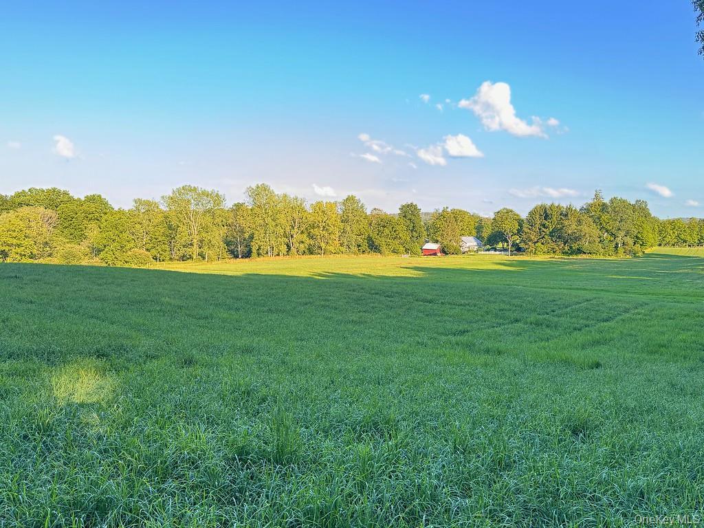Single Family Salt Point Turnpike  Dutchess County, NY 12578, MLS-952077-35