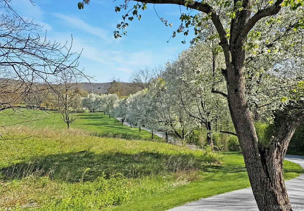 Single Family Salt Point Turnpike  Dutchess County, NY 12578, MLS-952077-9