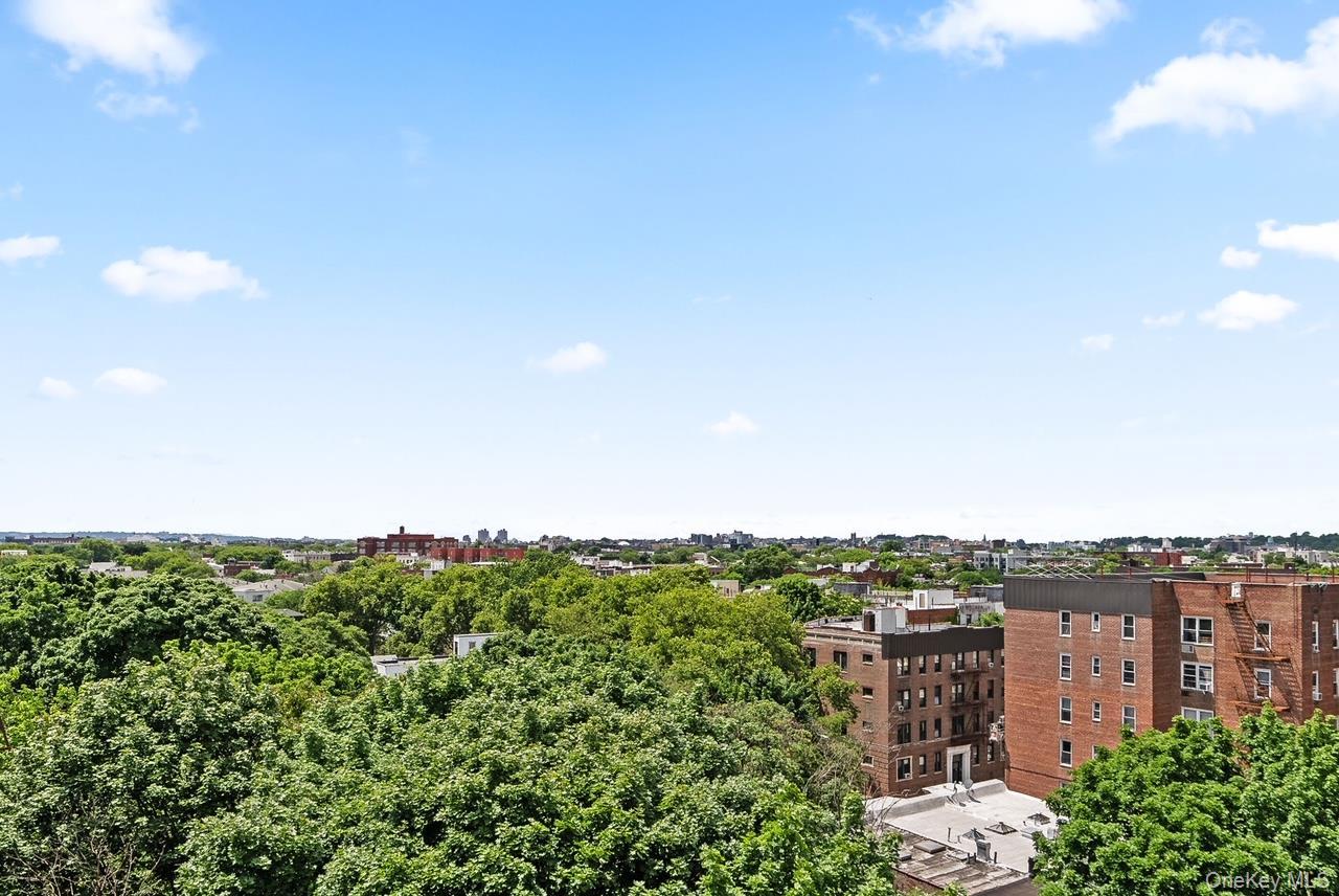 Condo Ocean Brooklyn, NY 11230, MLS-952098-13