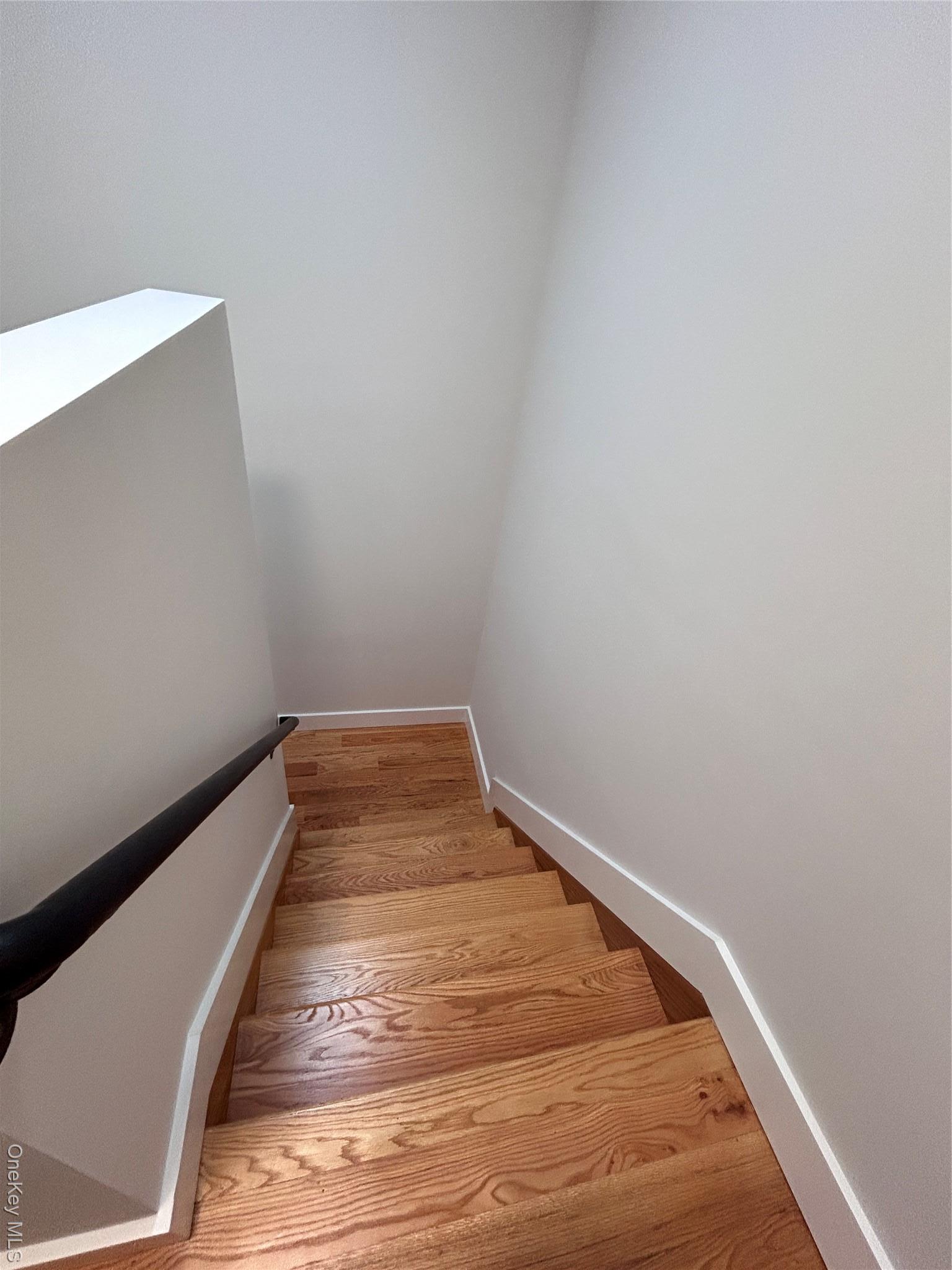 Single Family Menahan Queens, NY 11385, MLS-952229-17