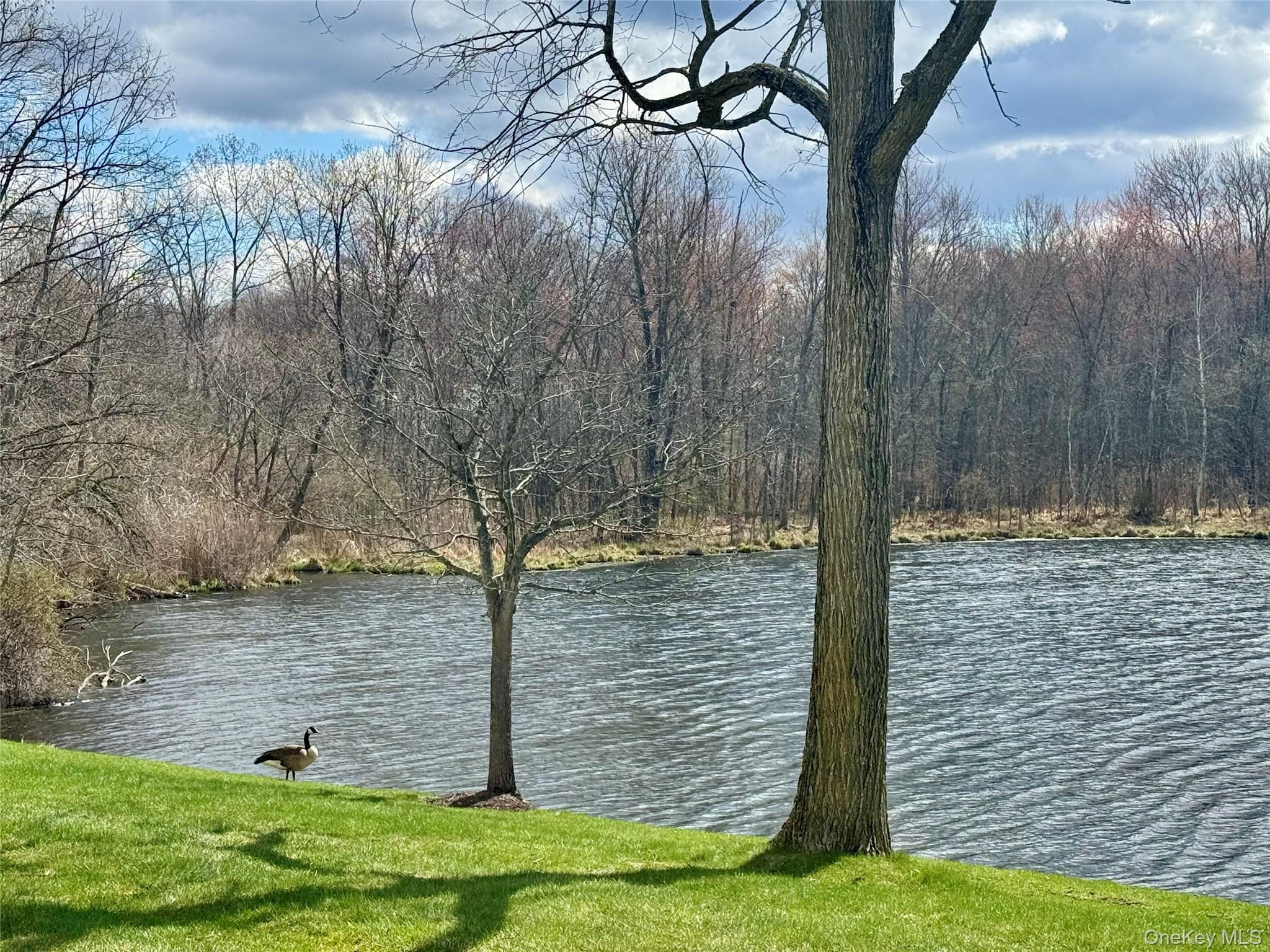 Condo Brick Pond  Orange County, NY 10940, MLS-952238-30