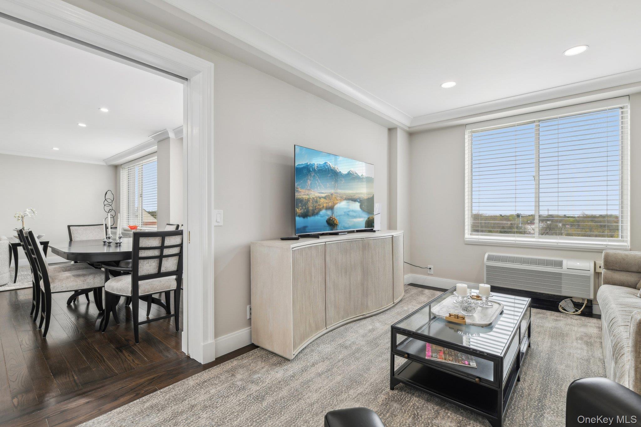 Condo Hilton  Nassau County, NY 11530, MLS-952273-19