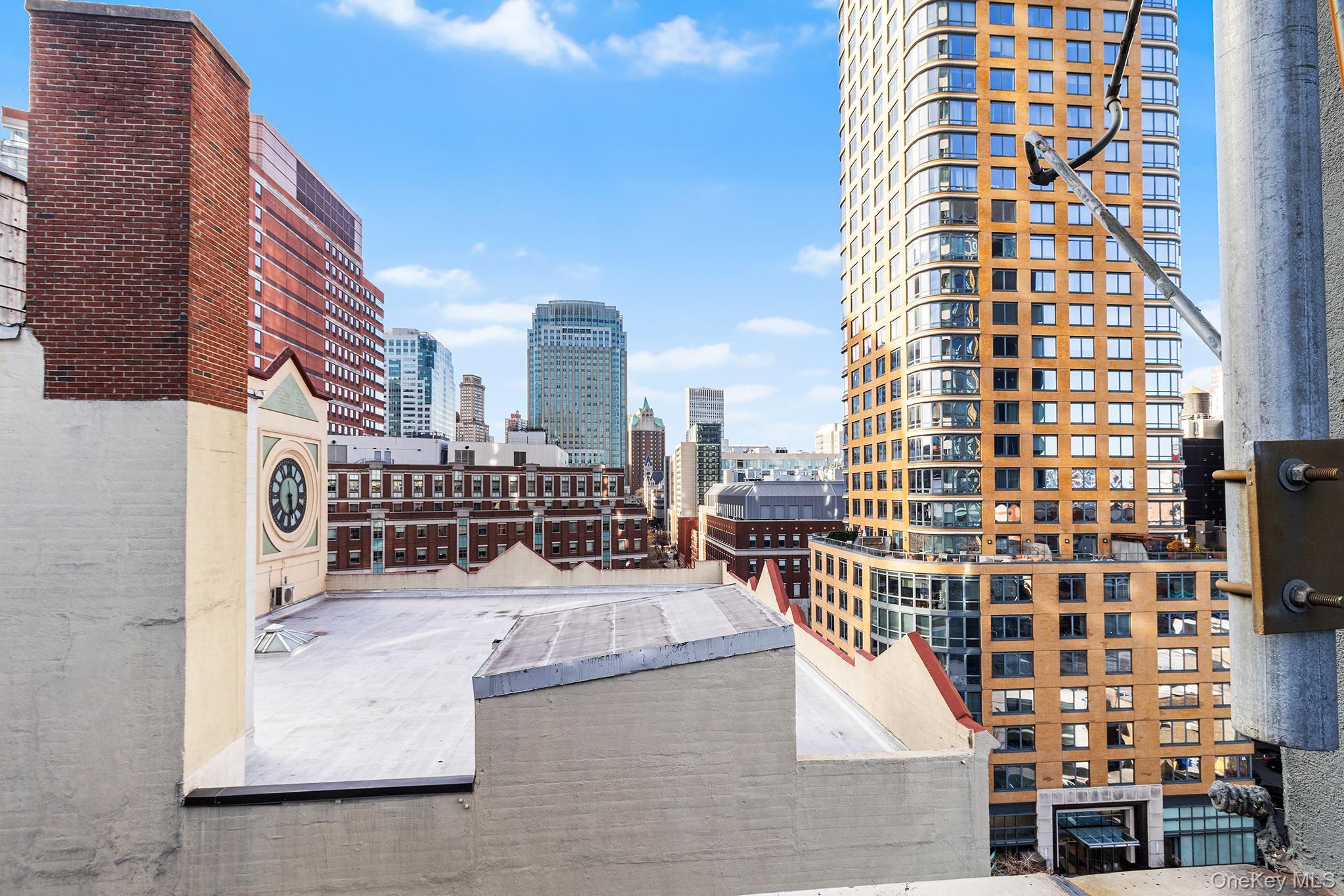 Condo Johnson  Brooklyn, NY 11201, MLS-952289-16