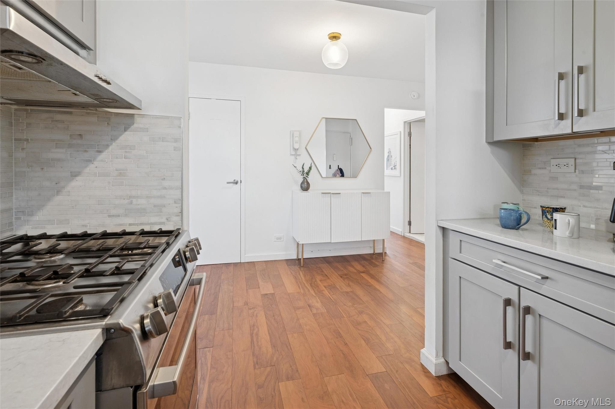 Coop Palisade  Bronx, NY 10463, MLS-952357-10