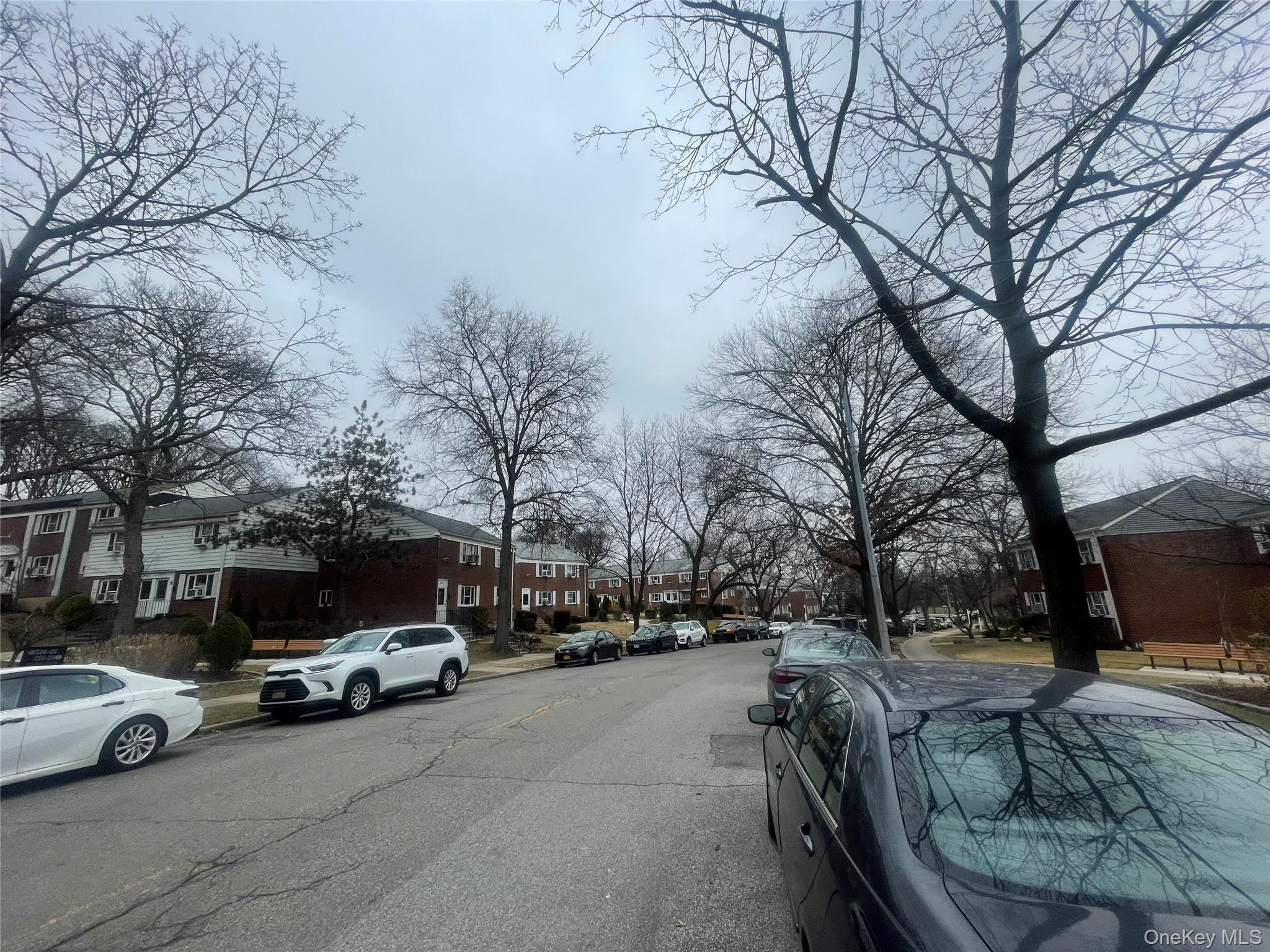 Coop Manor  Queens, NY 11427, MLS-952468-4