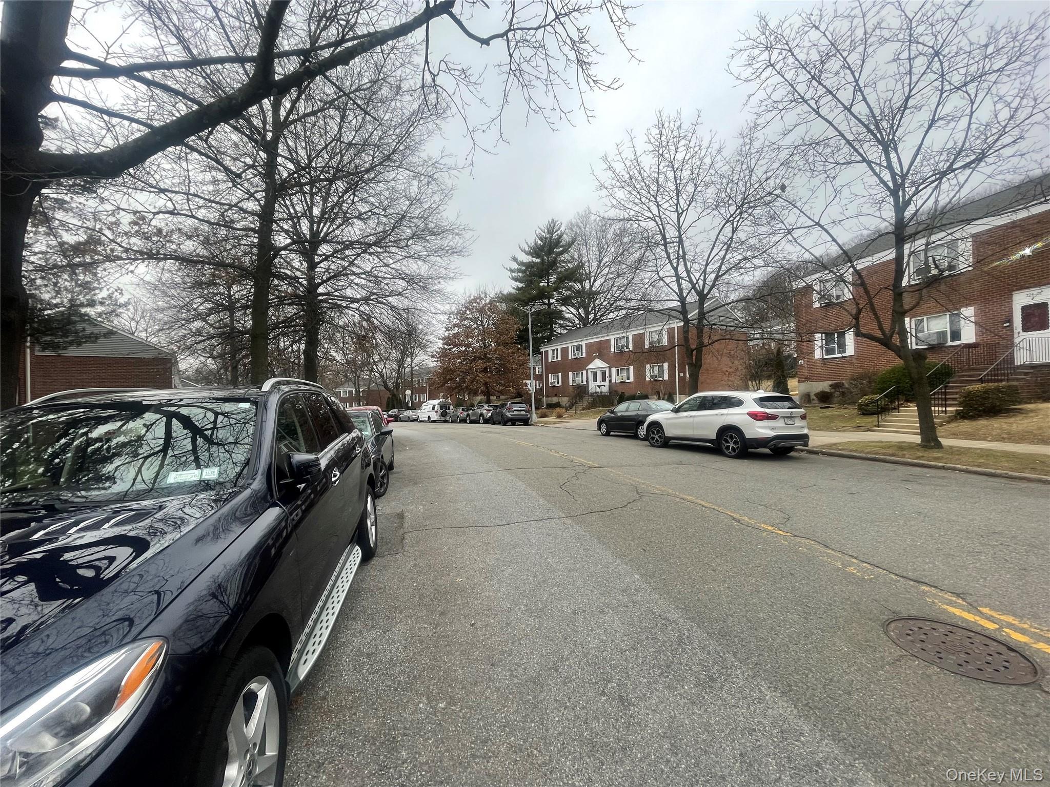 Coop Manor  Queens, NY 11427, MLS-952468-9