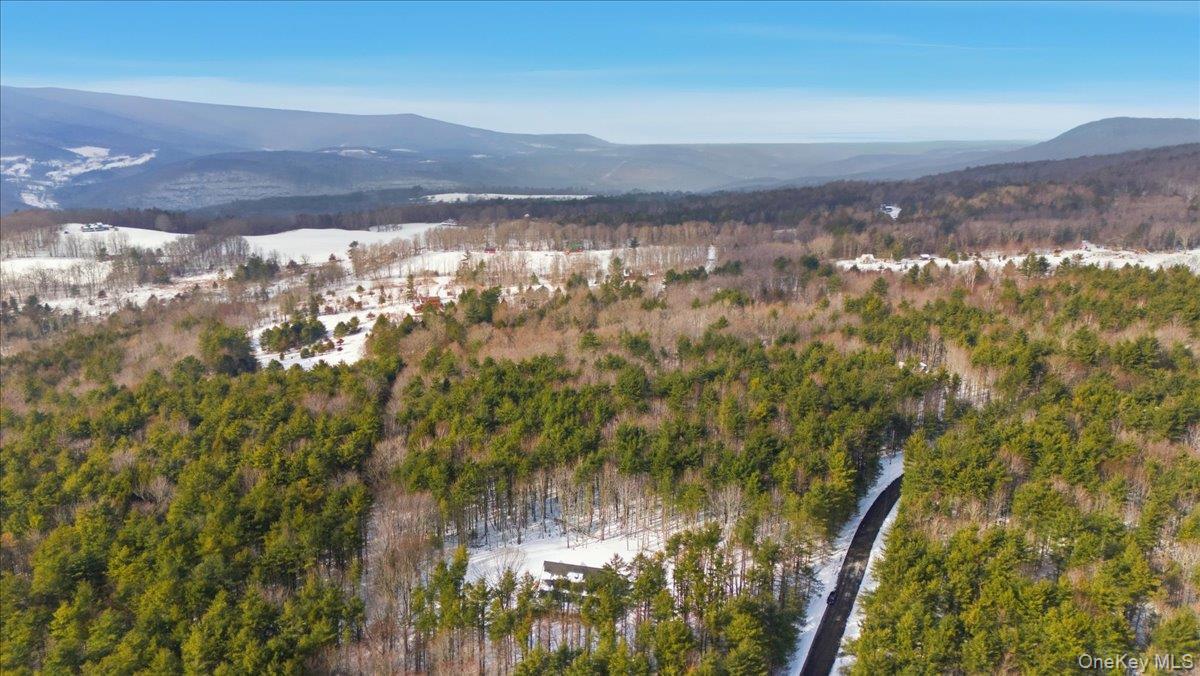 Single Family Fawn Hill  Greene County, NY 12452, MLS-952568-10