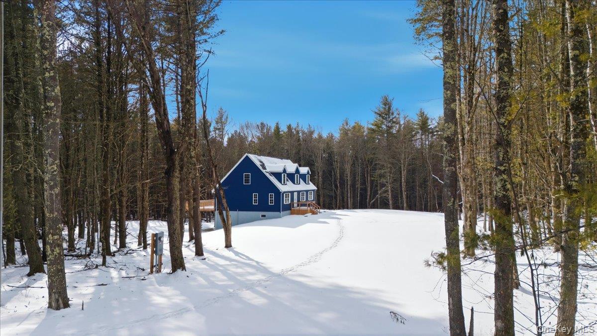 Single Family Fawn Hill  Greene County, NY 12452, MLS-952568-4