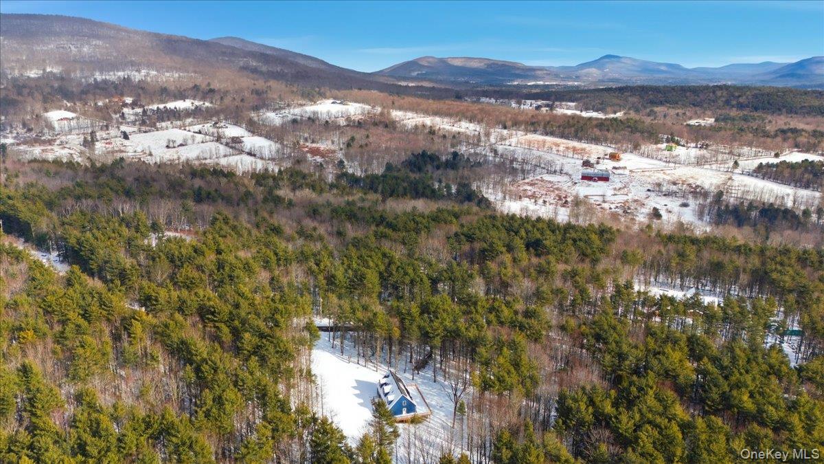 Single Family Fawn Hill  Greene County, NY 12452, MLS-952568-9