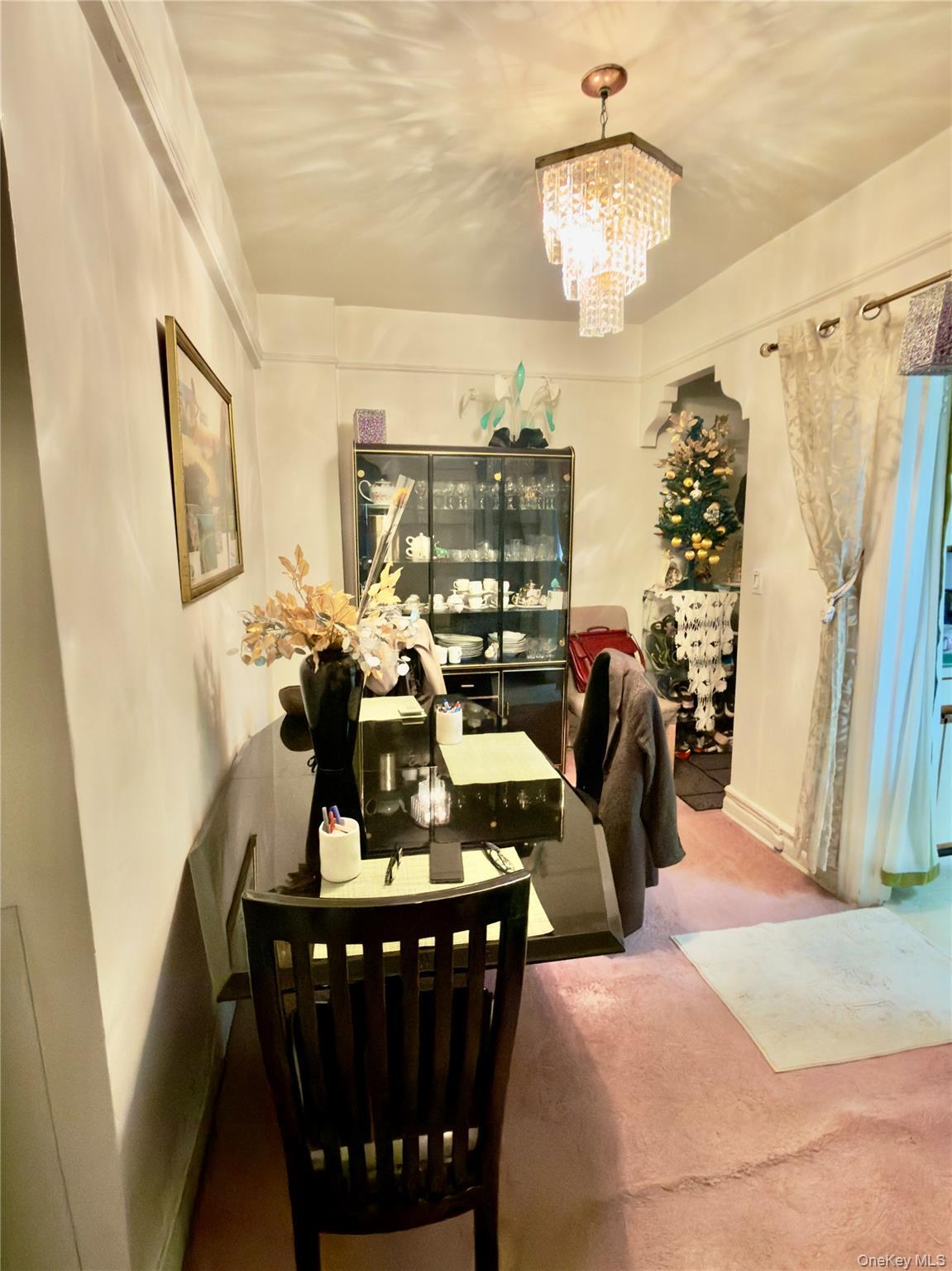 Coop 82 Queens, NY 11372, MLS-952804-10