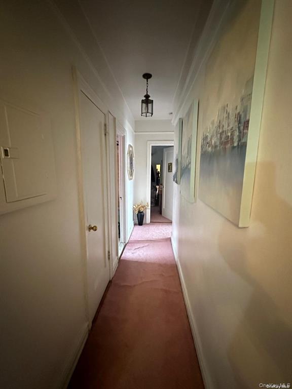 Coop 82 Queens, NY 11372, MLS-952804-14