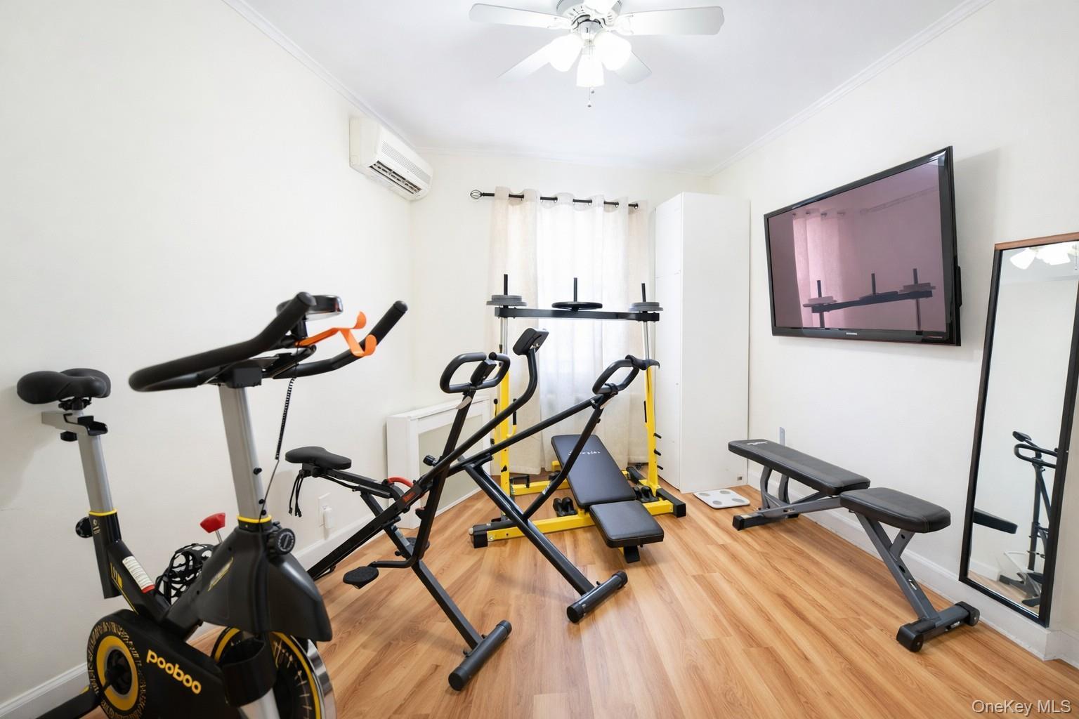 Single Family Eliot  Queens, NY 11379, MLS-952850-8