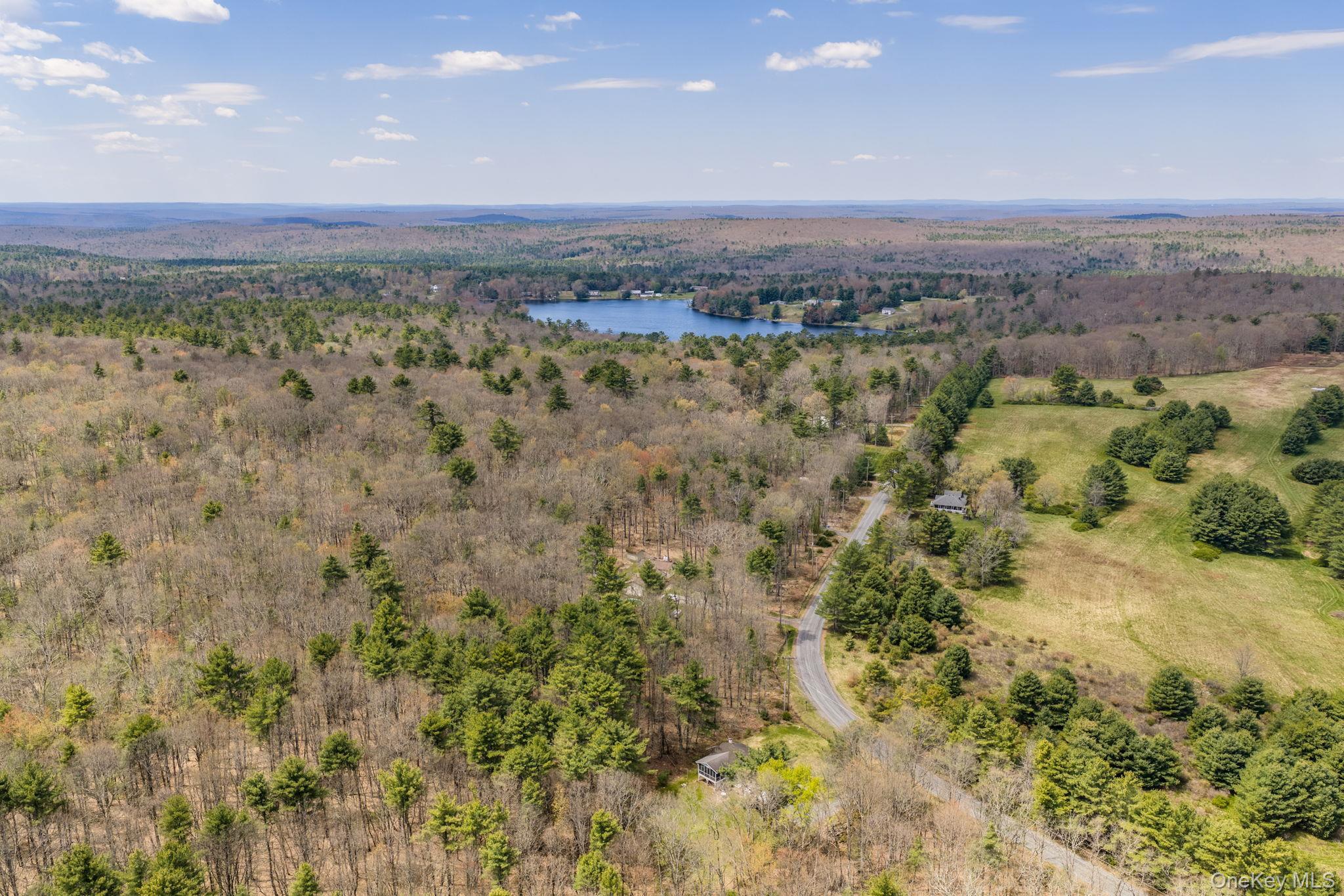 Single Family Airport Sullivan County, NY 12732, MLS-952895-28