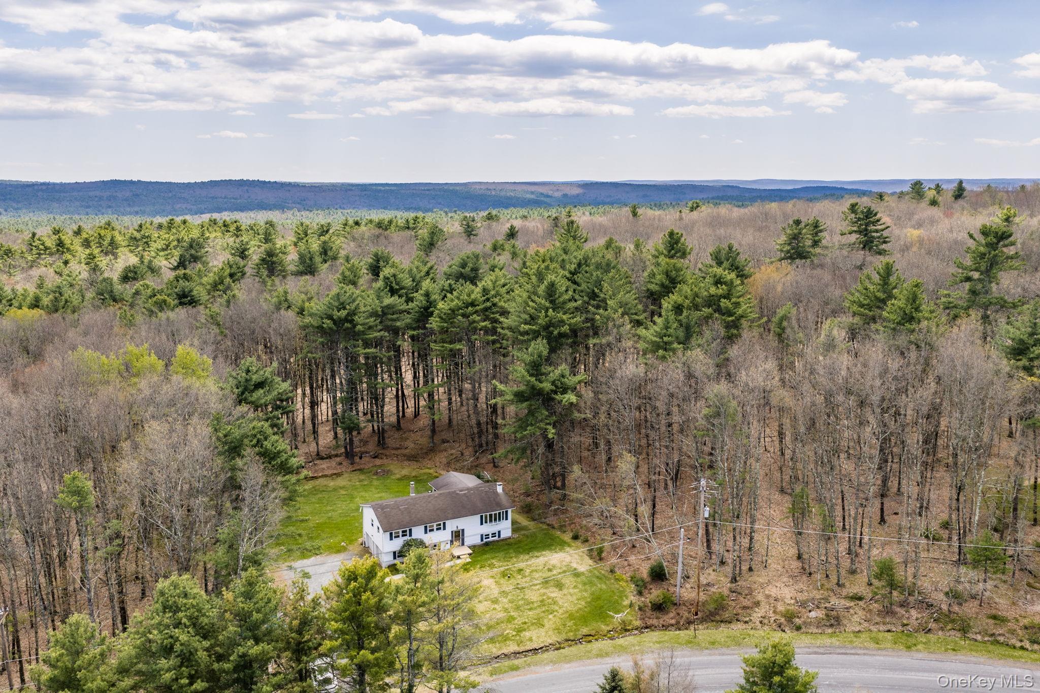 Single Family Airport Sullivan County, NY 12732, MLS-952895-29
