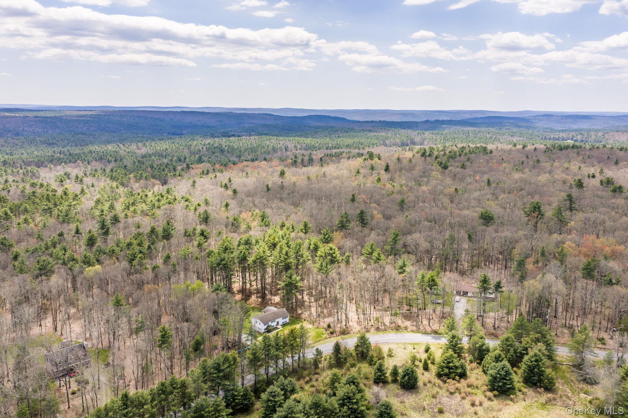 Single Family Airport Road  Sullivan County, NY 12732, MLS-952895-31