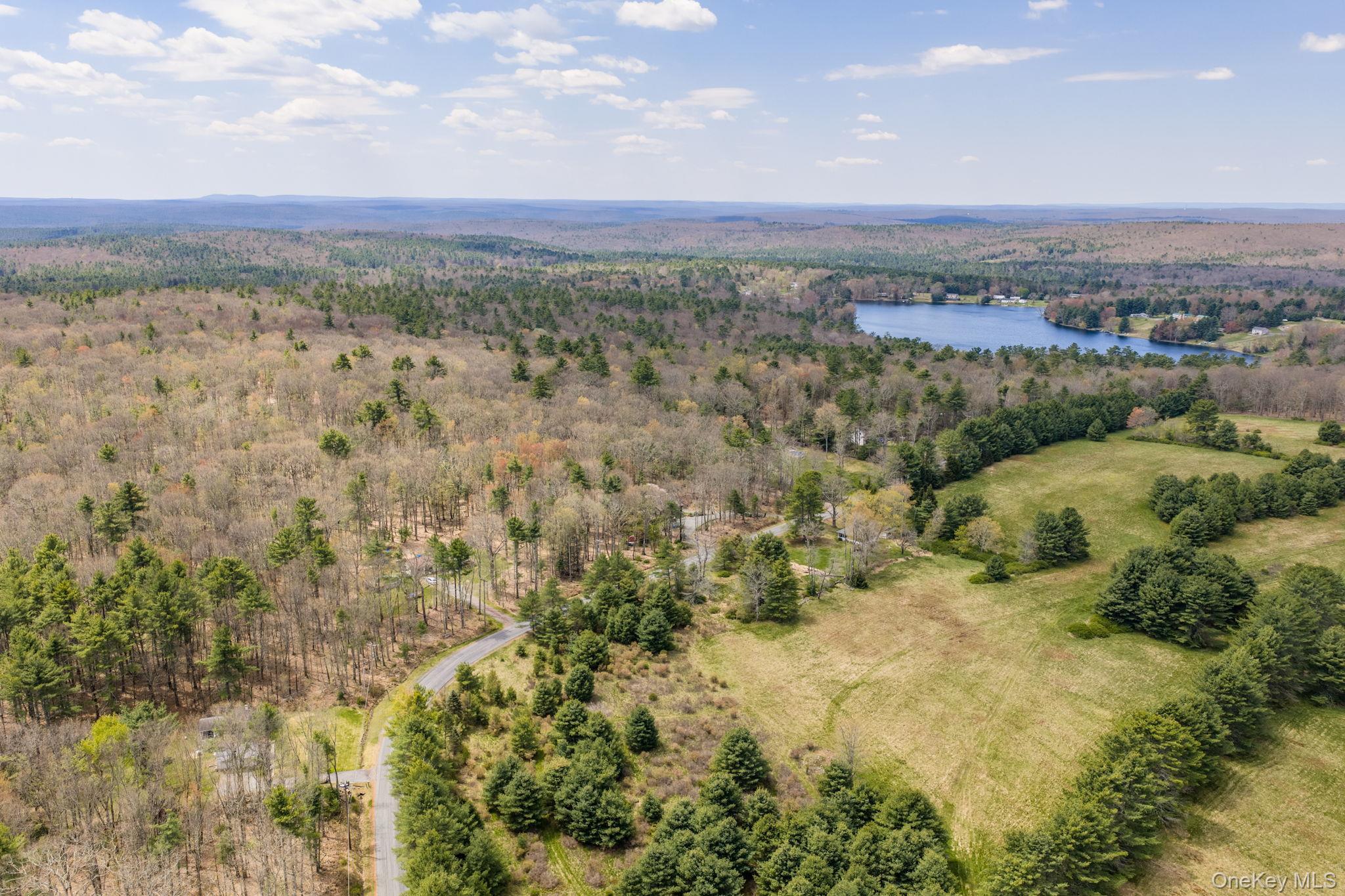 Single Family Airport Sullivan County, NY 12732, MLS-952895-4