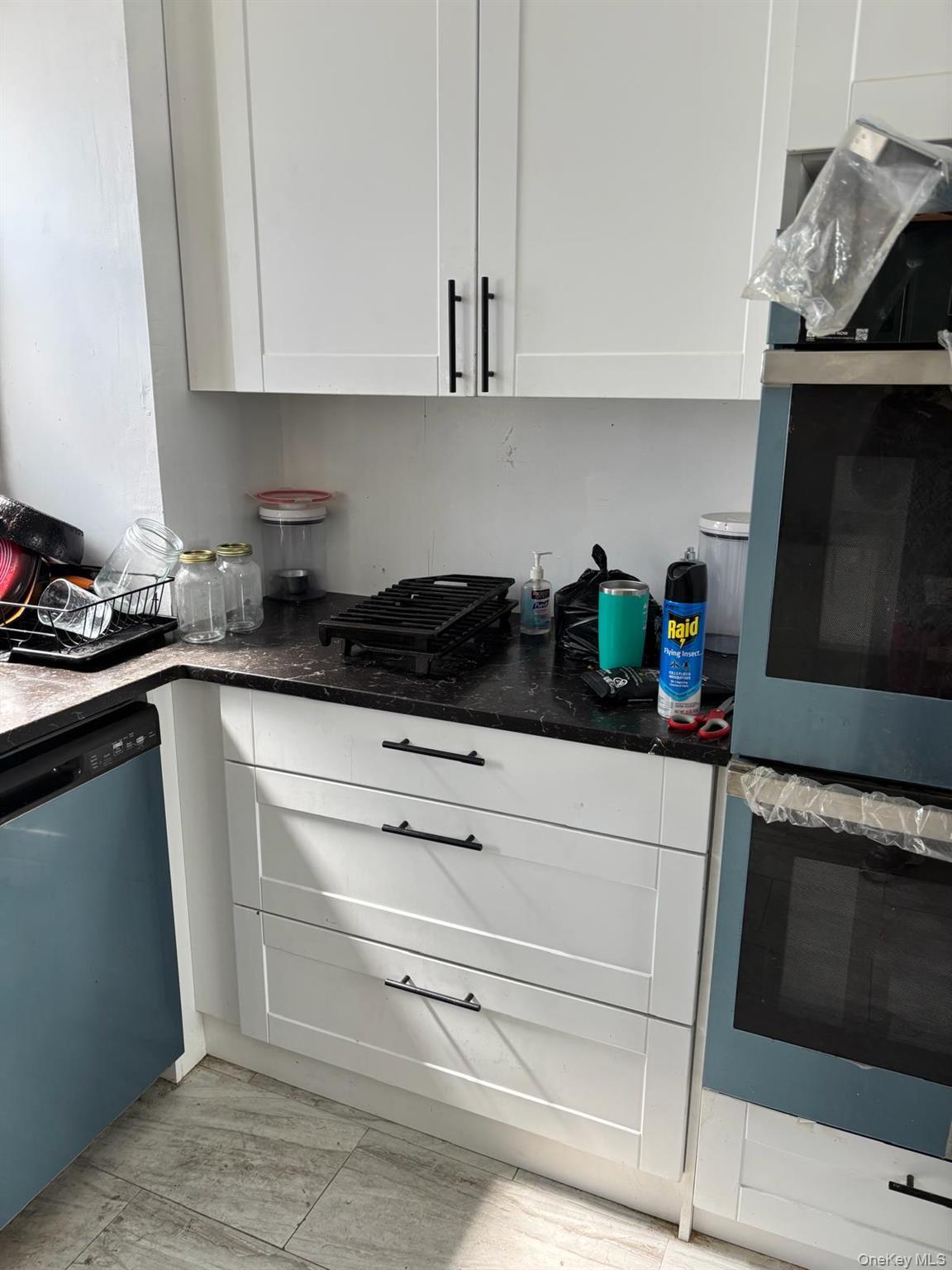 Single Family 148th Street  Queens, NY 11436, MLS-952922-6
