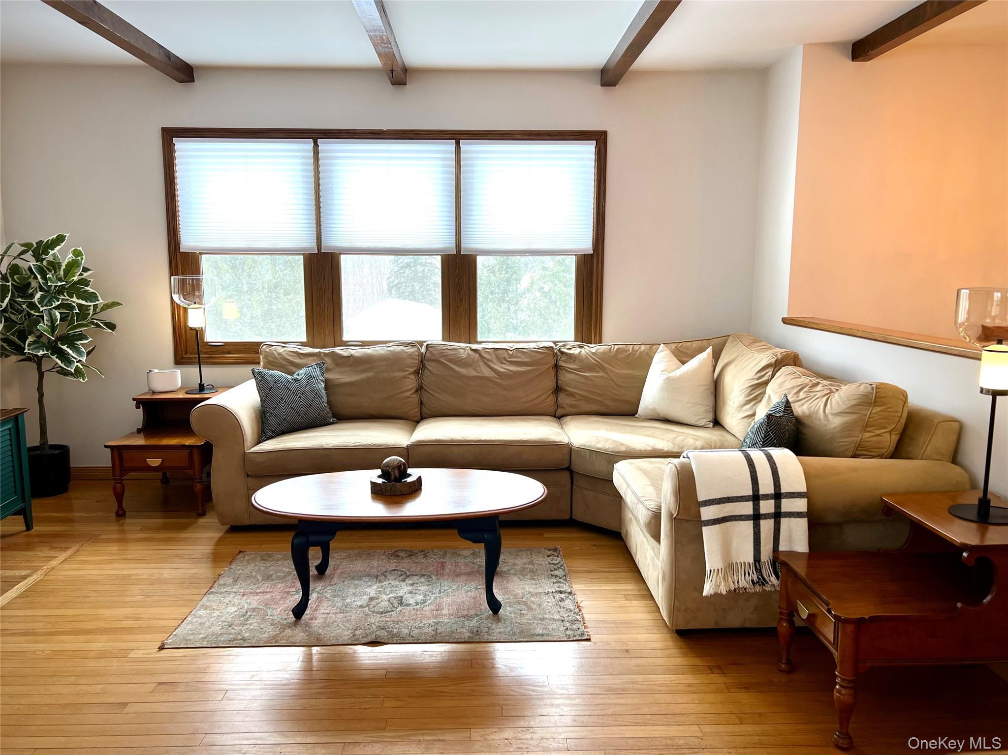 Single Family Old  Greene County, NY 12496, MLS-952926-11