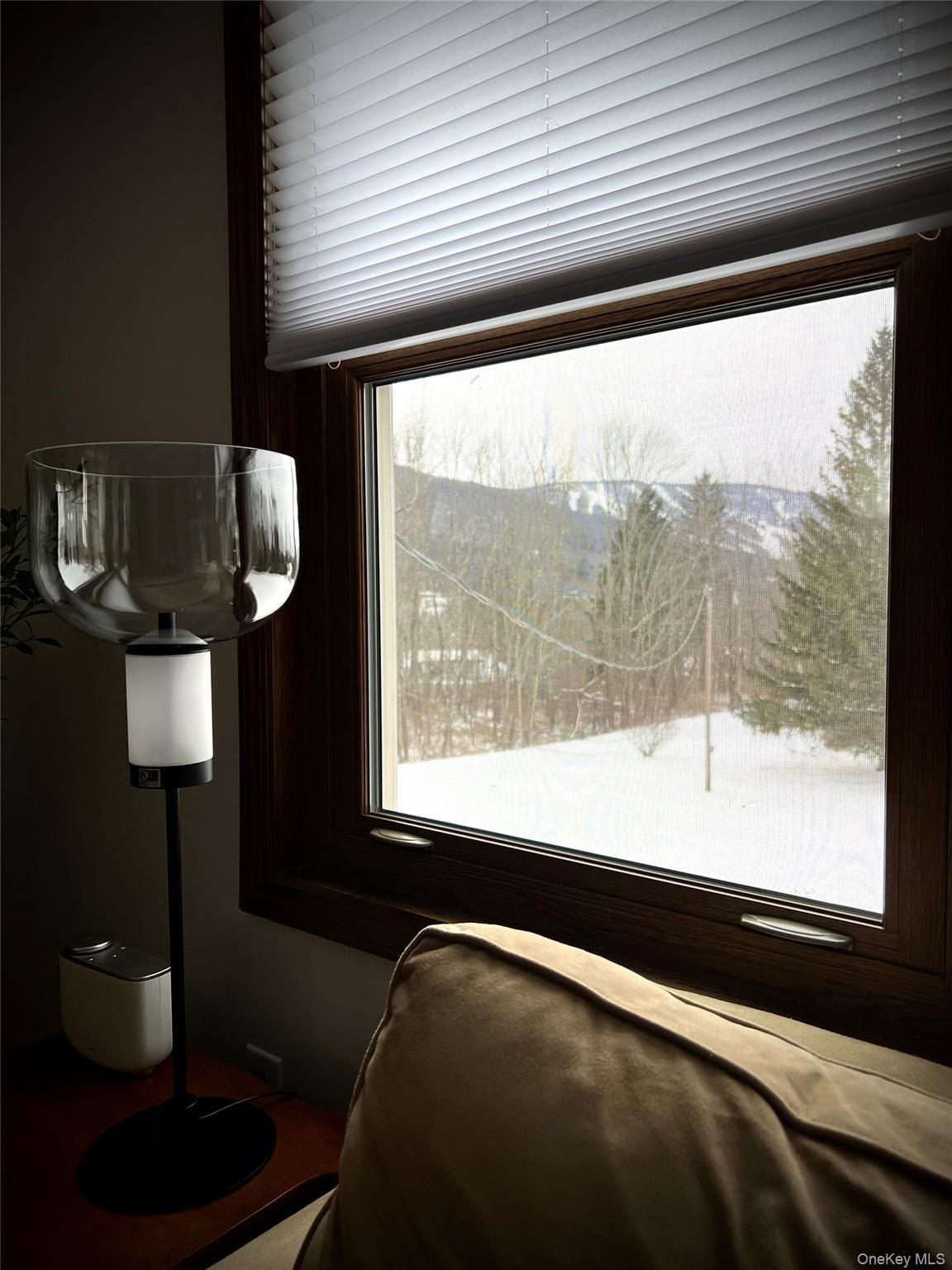 Single Family Old  Greene County, NY 12496, MLS-952926-21