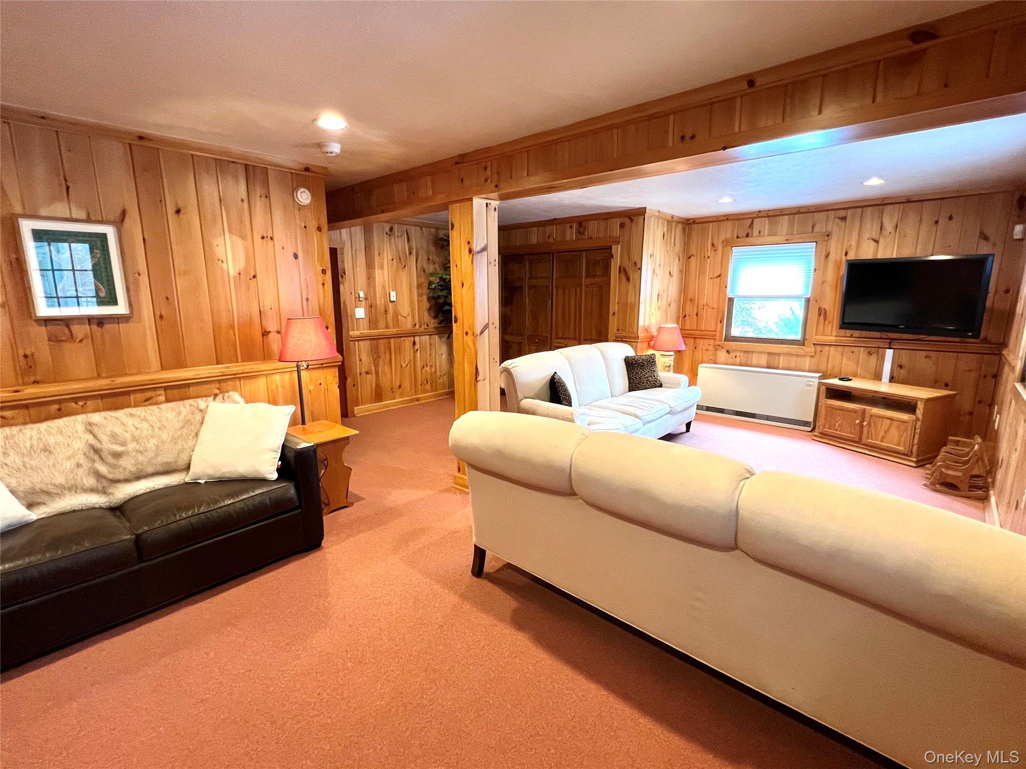 Single Family Old  Greene County, NY 12496, MLS-952926-22