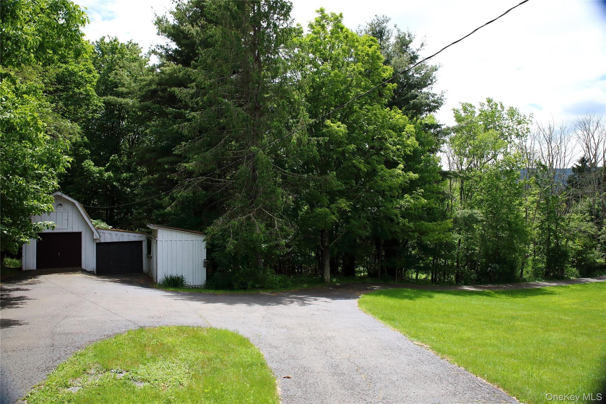 Single Family Old  Greene County, NY 12496, MLS-952926-3