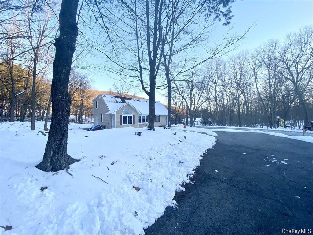 Single Family Bloomer  Dutchess County, NY 12540, MLS-952957-28