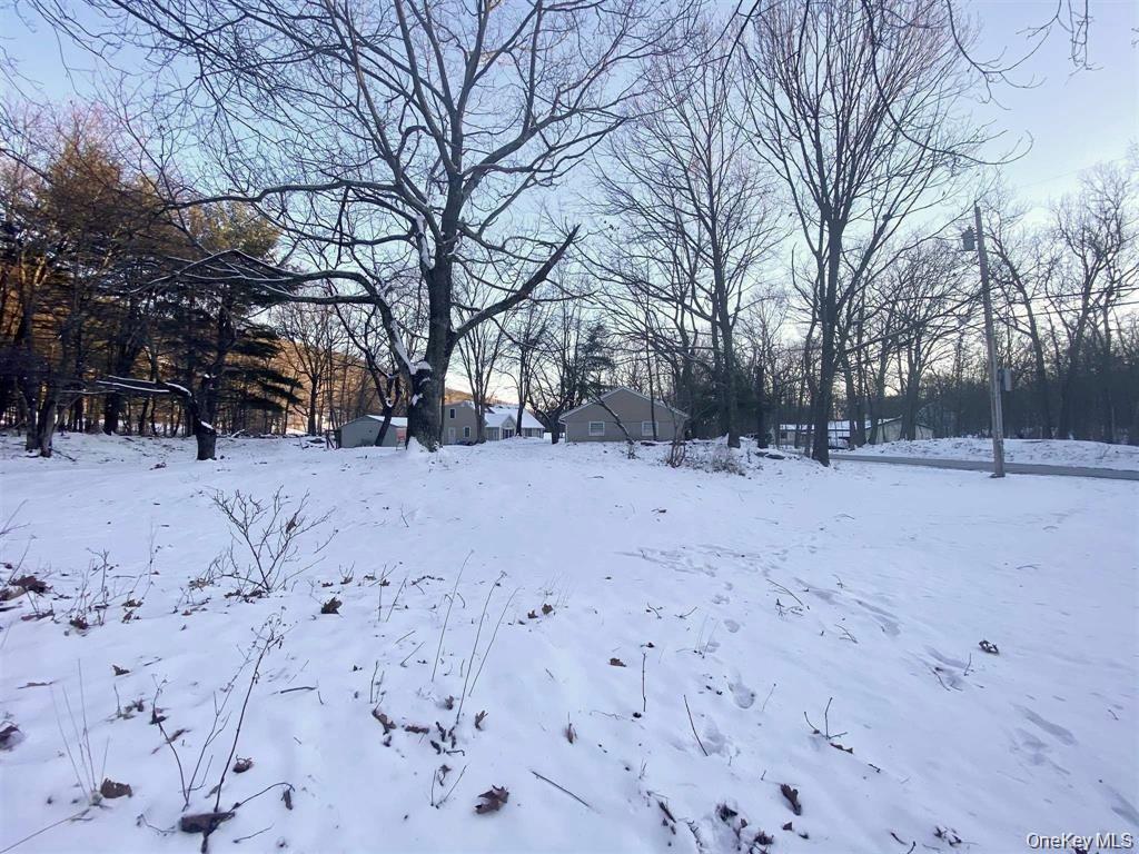 Single Family Bloomer  Dutchess County, NY 12540, MLS-952957-30