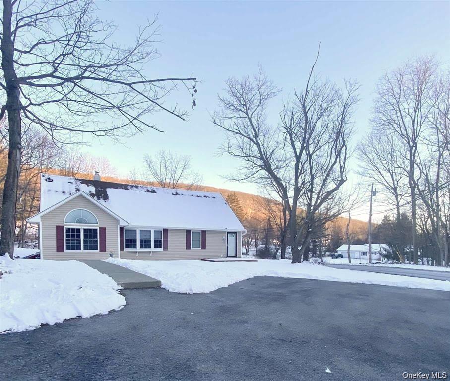 Single Family Bloomer  Dutchess County, NY 12540, MLS-952957-33
