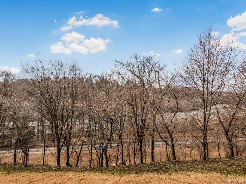 Condo Ridge Hill  Westchester County, NY 10710, MLS-952983-6