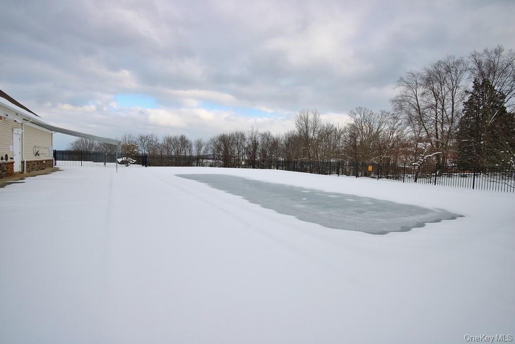 Condo Wheeler  Putnam County, NY 10512, MLS-953121-46