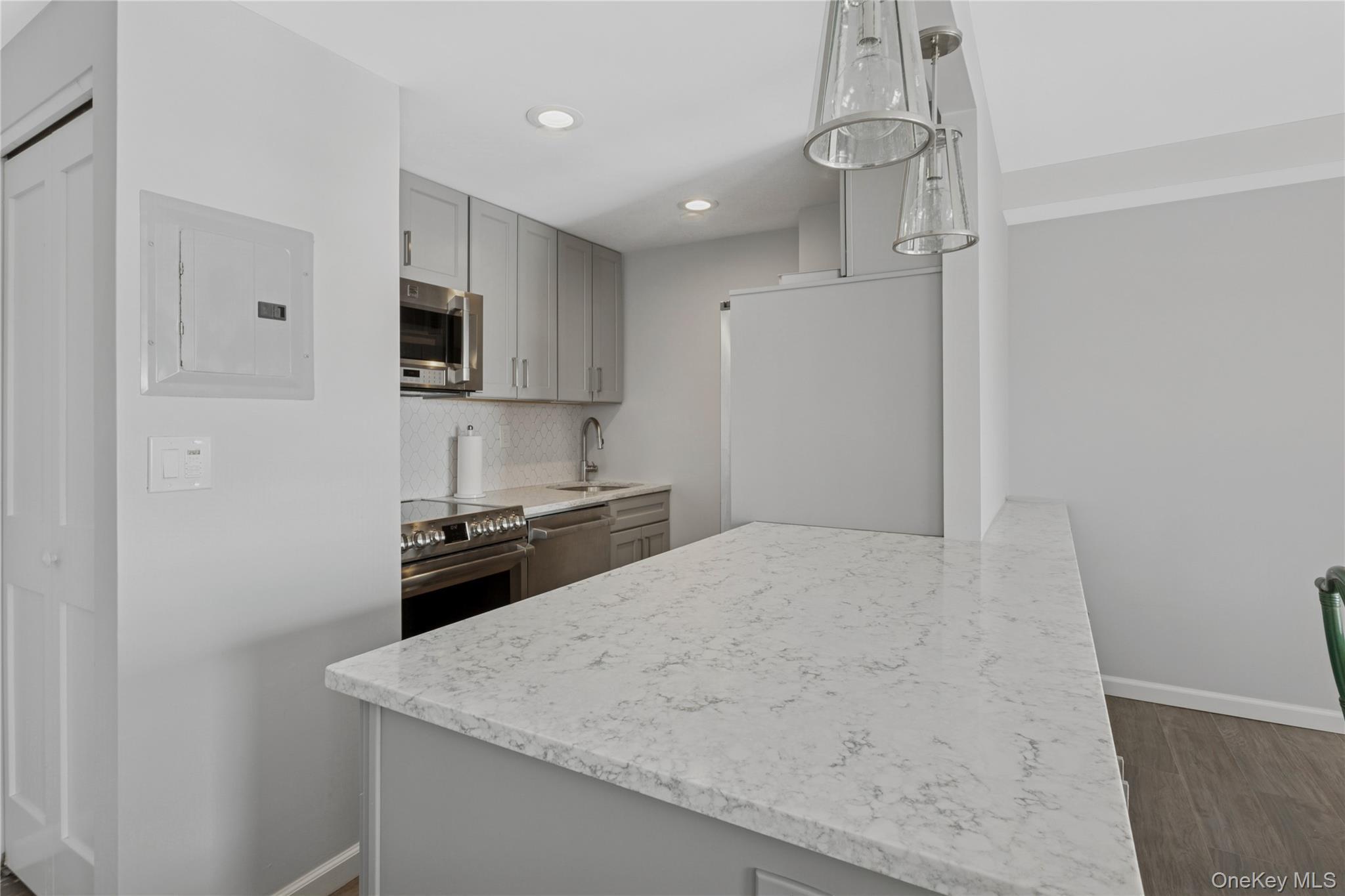 Condo Richmond Nassau County, NY 11561, MLS-953330-13