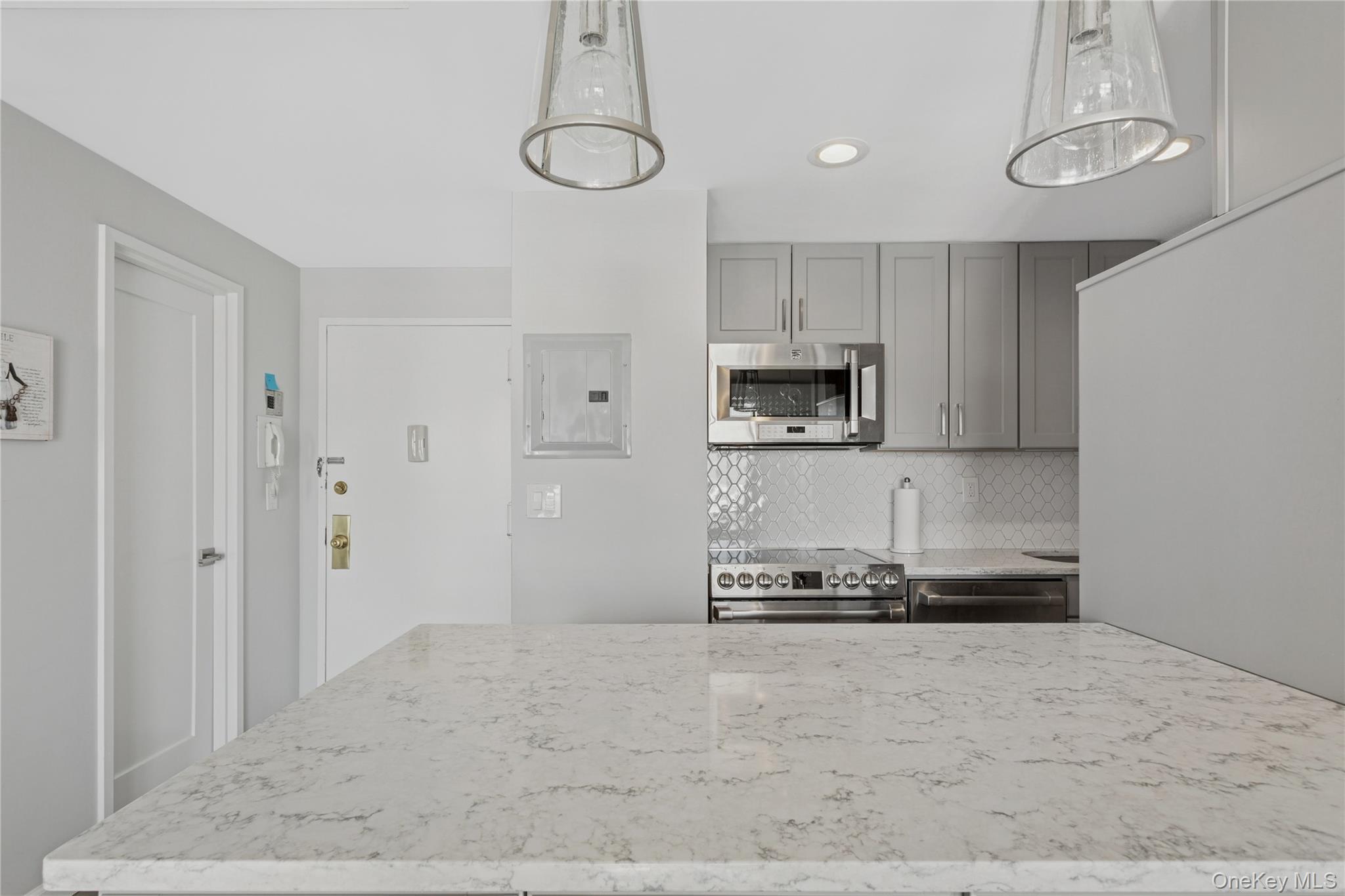 Condo Richmond Nassau County, NY 11561, MLS-953330-14