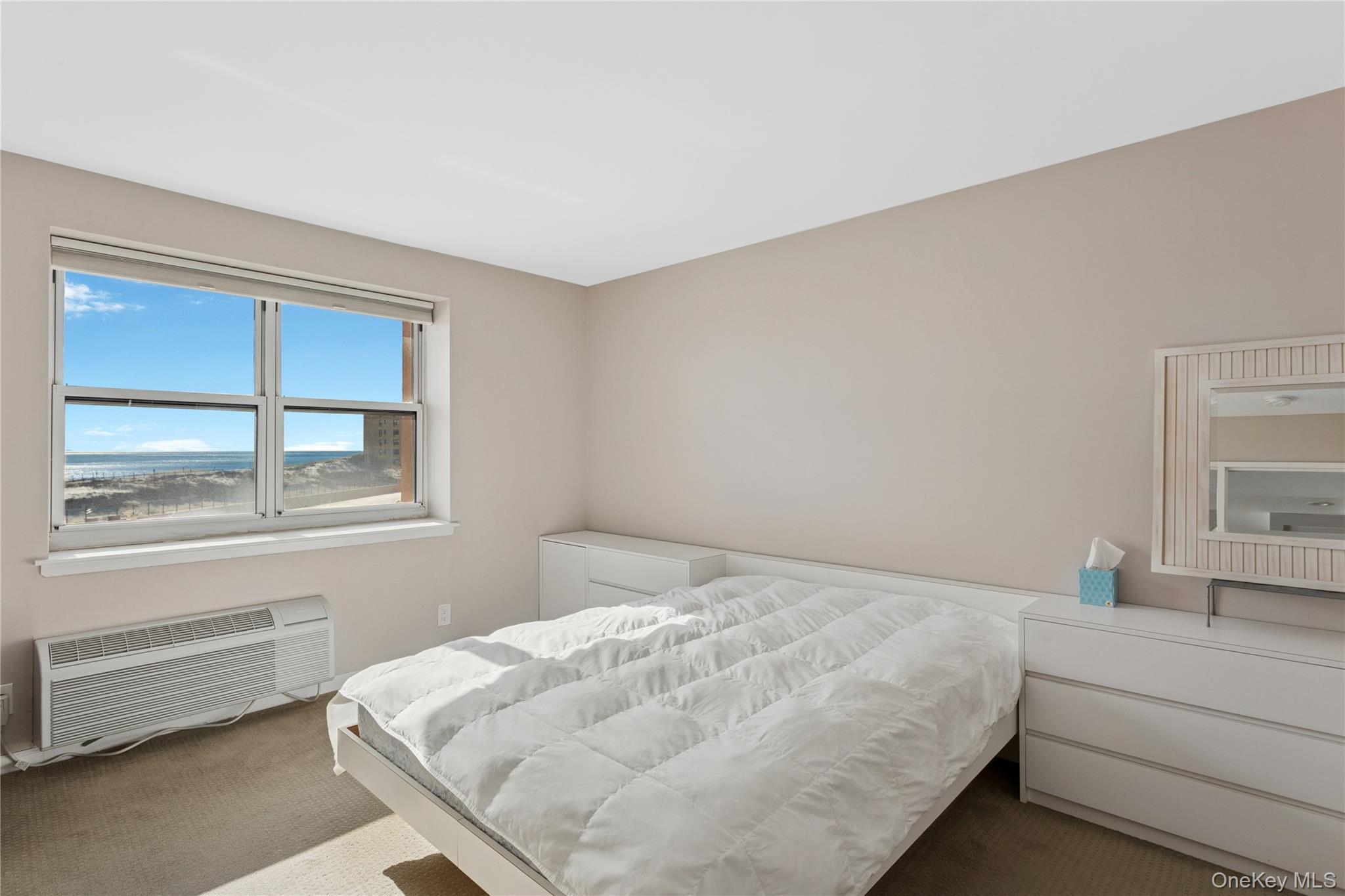 Condo Richmond Nassau County, NY 11561, MLS-953330-17