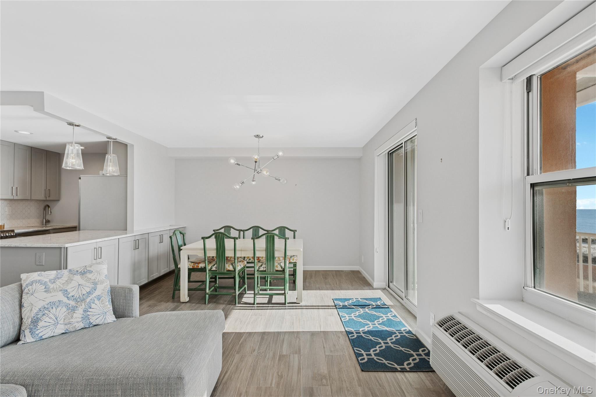 Condo Richmond Nassau County, NY 11561, MLS-953330-6