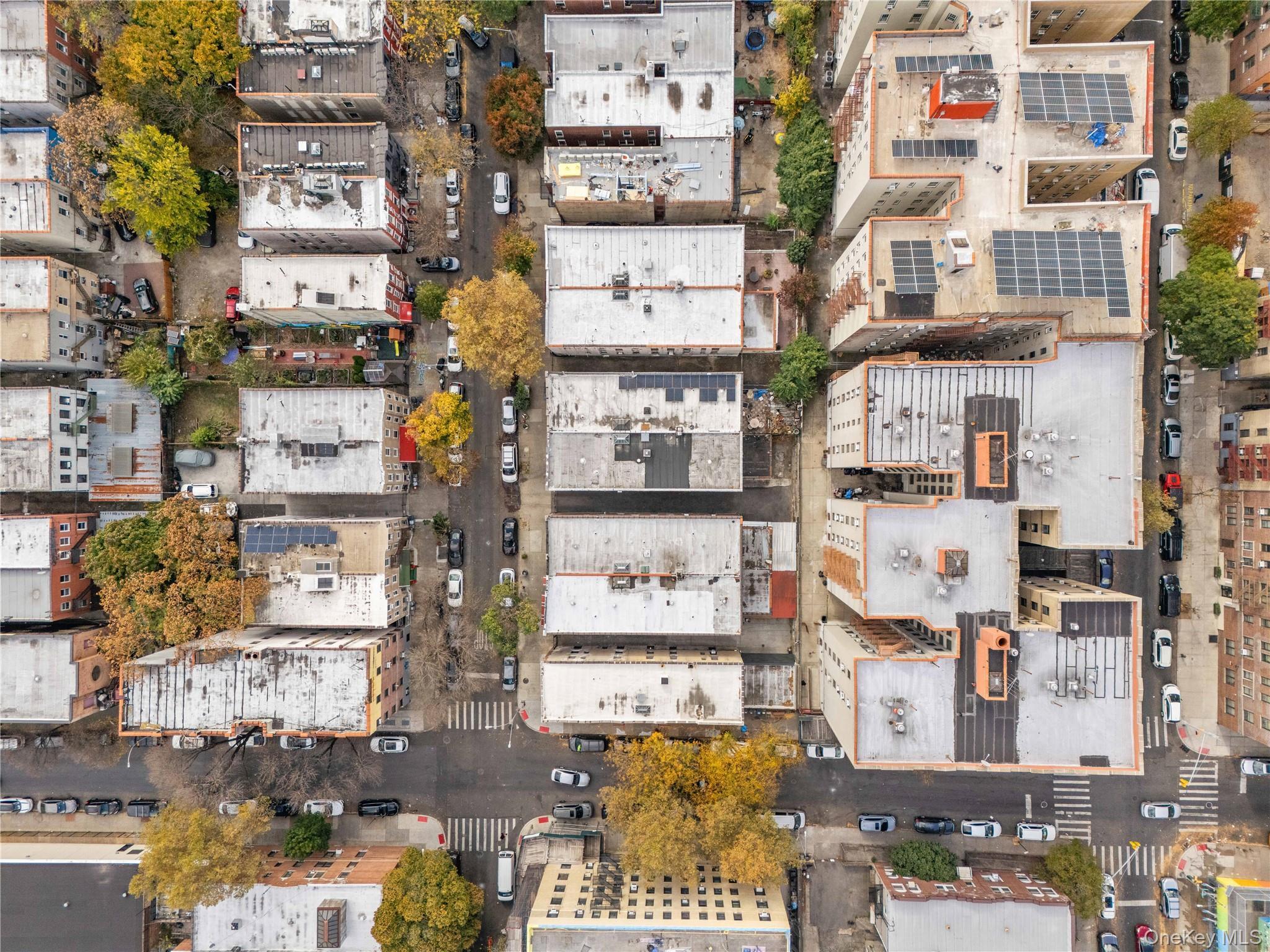 Single Family Grant  Bronx, NY 10456, MLS-953346-49