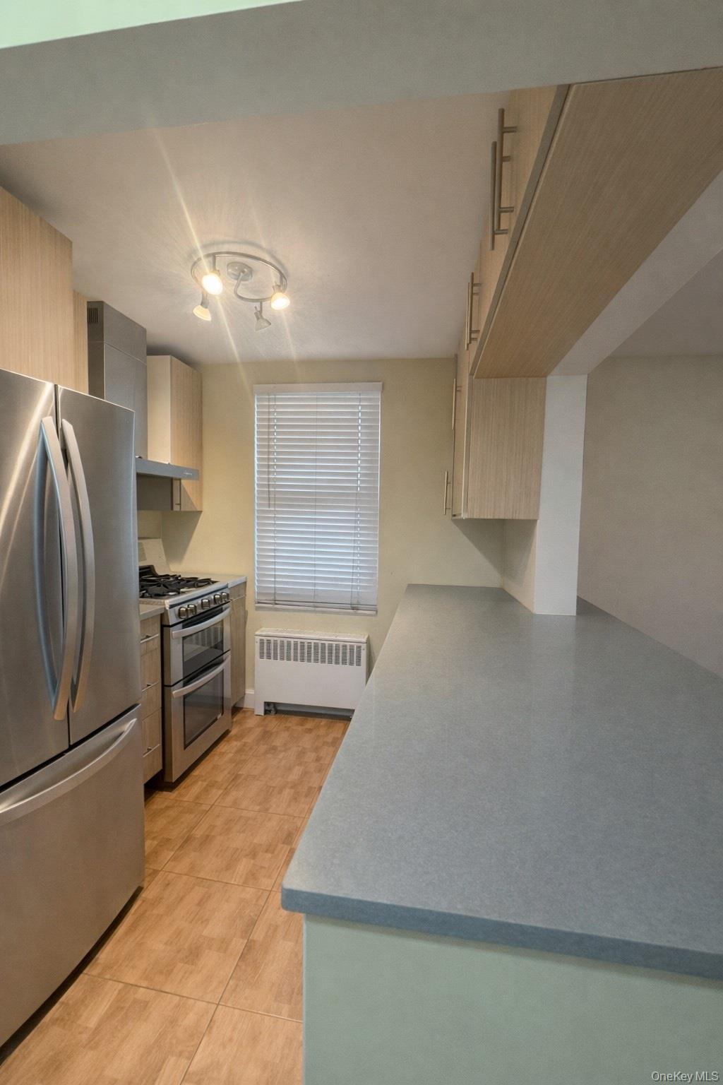 Condo Jewel  Queens, NY 11367, MLS-953644-4