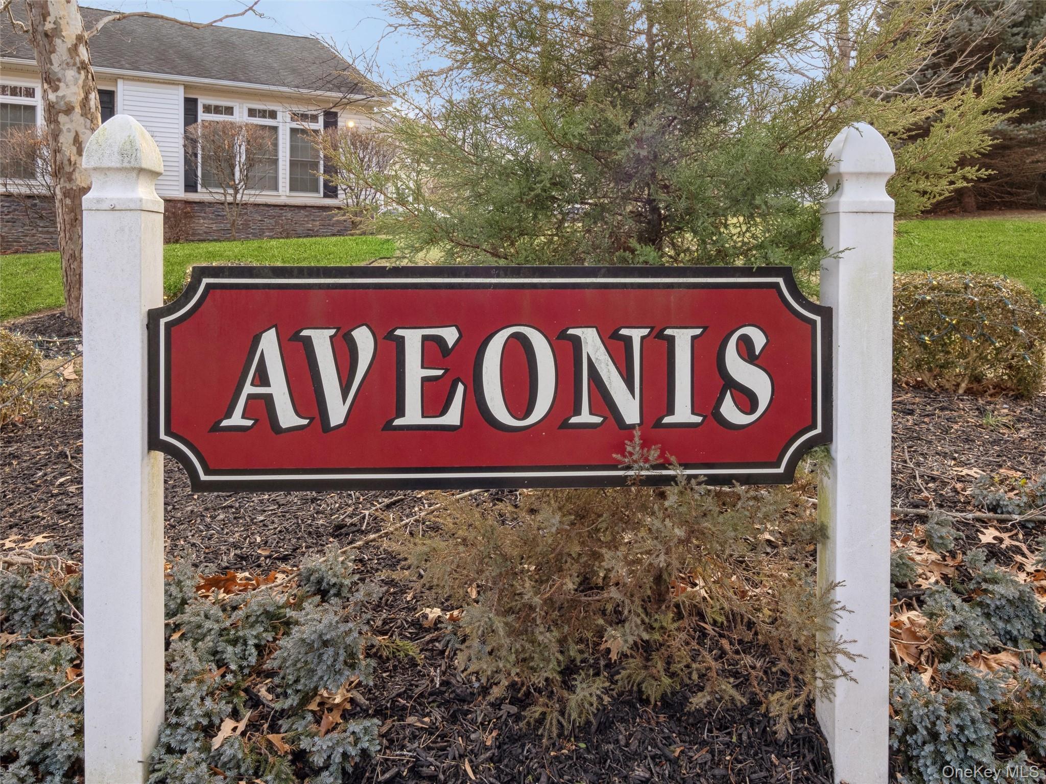 Condo Aveonis Dutchess County, NY 12524, MLS-953668-33