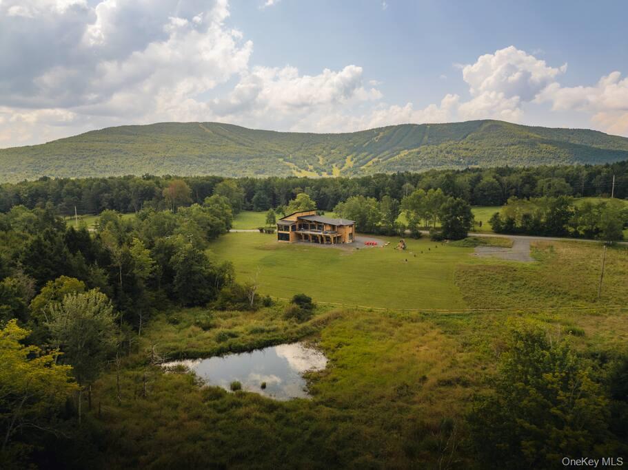 Single Family Mill Street Greene County, NY 12496, MLS-953759-38