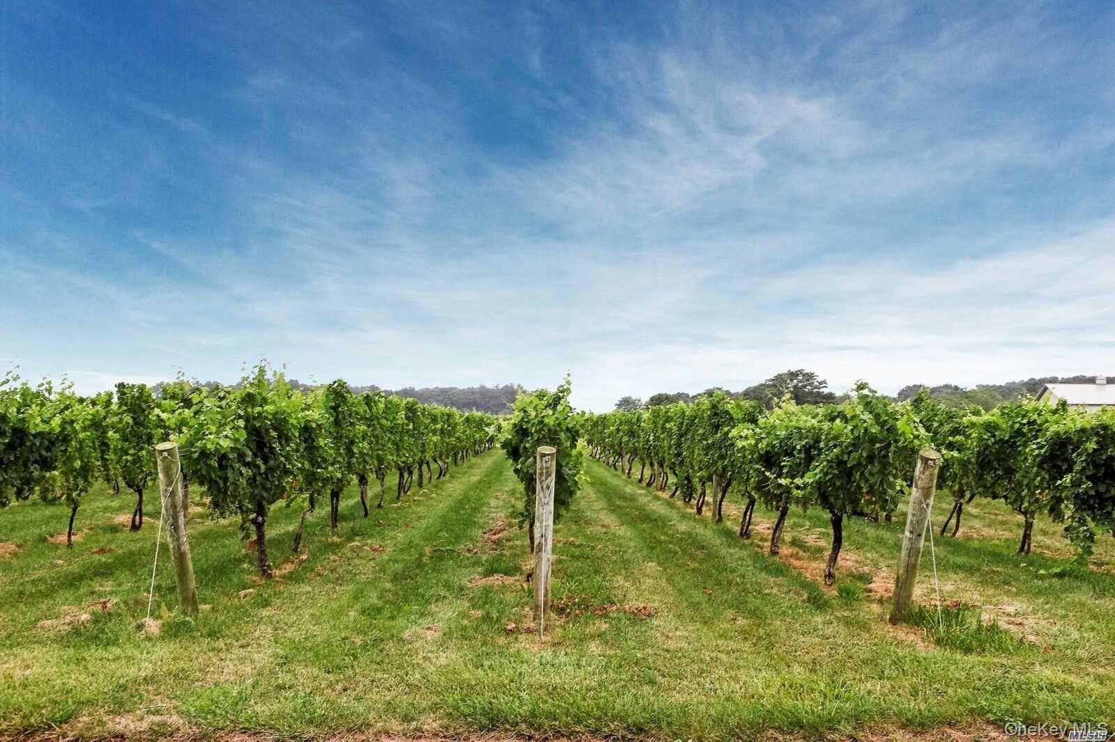 Condo Kimberly  Suffolk County, NY 11977, MLS-953821-38