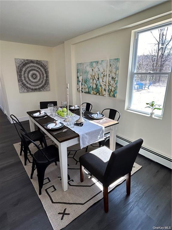 Single Family Route 209  Ulster County, NY 12446, MLS-953878-11