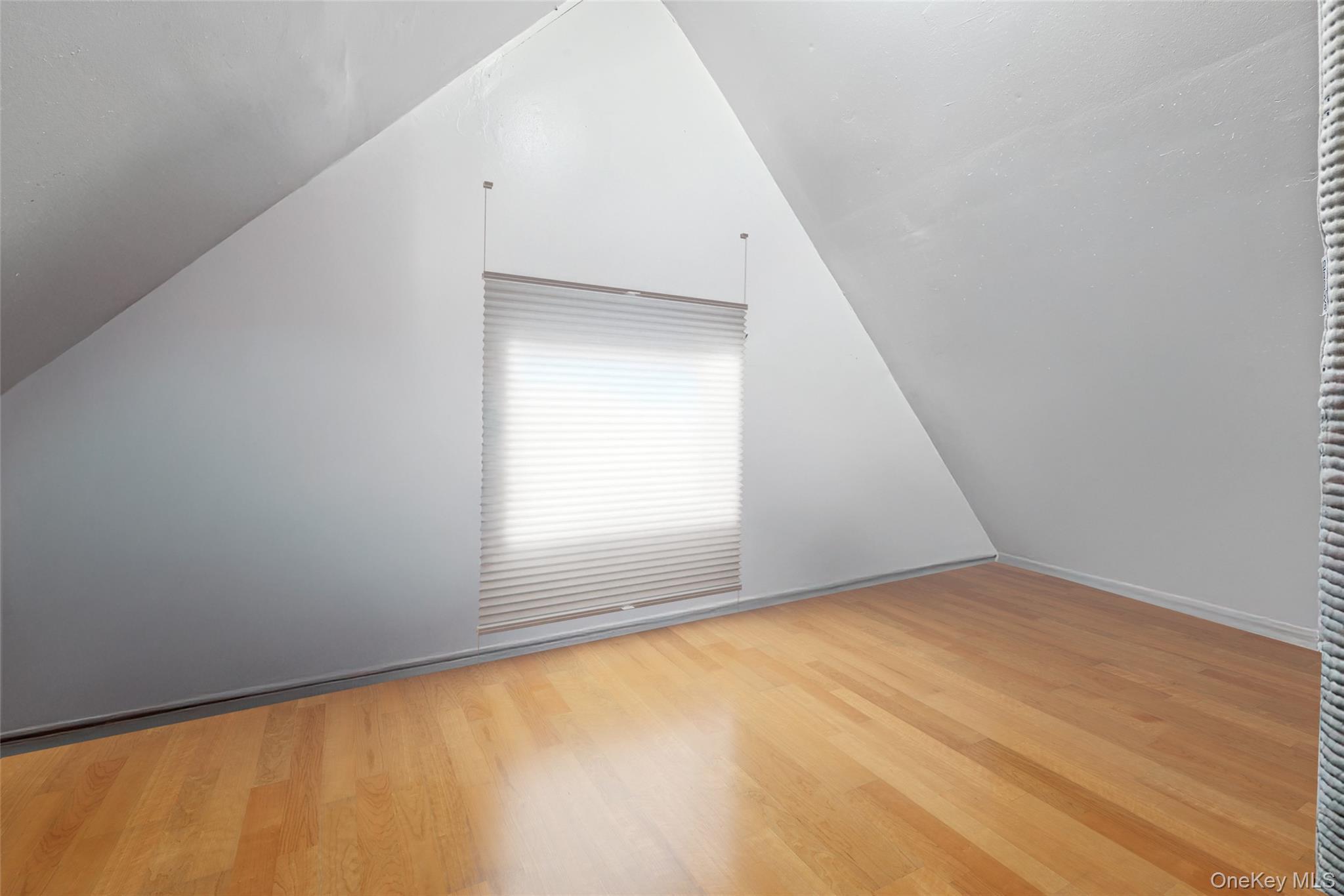 Single Family 171st Queens, NY 11433, MLS-953902-23