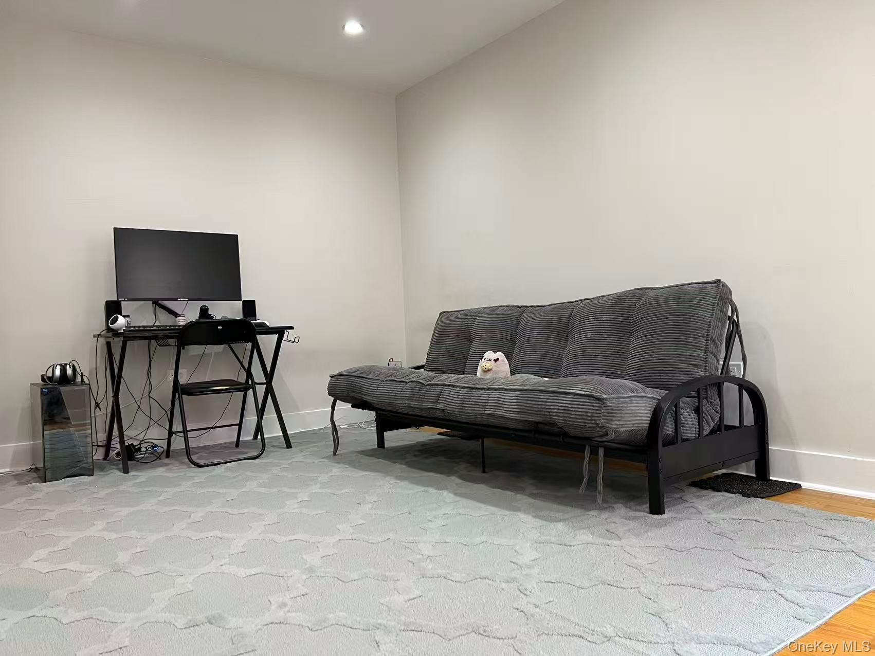 Coop Ketcham  Queens, NY 11373, MLS-954015-2