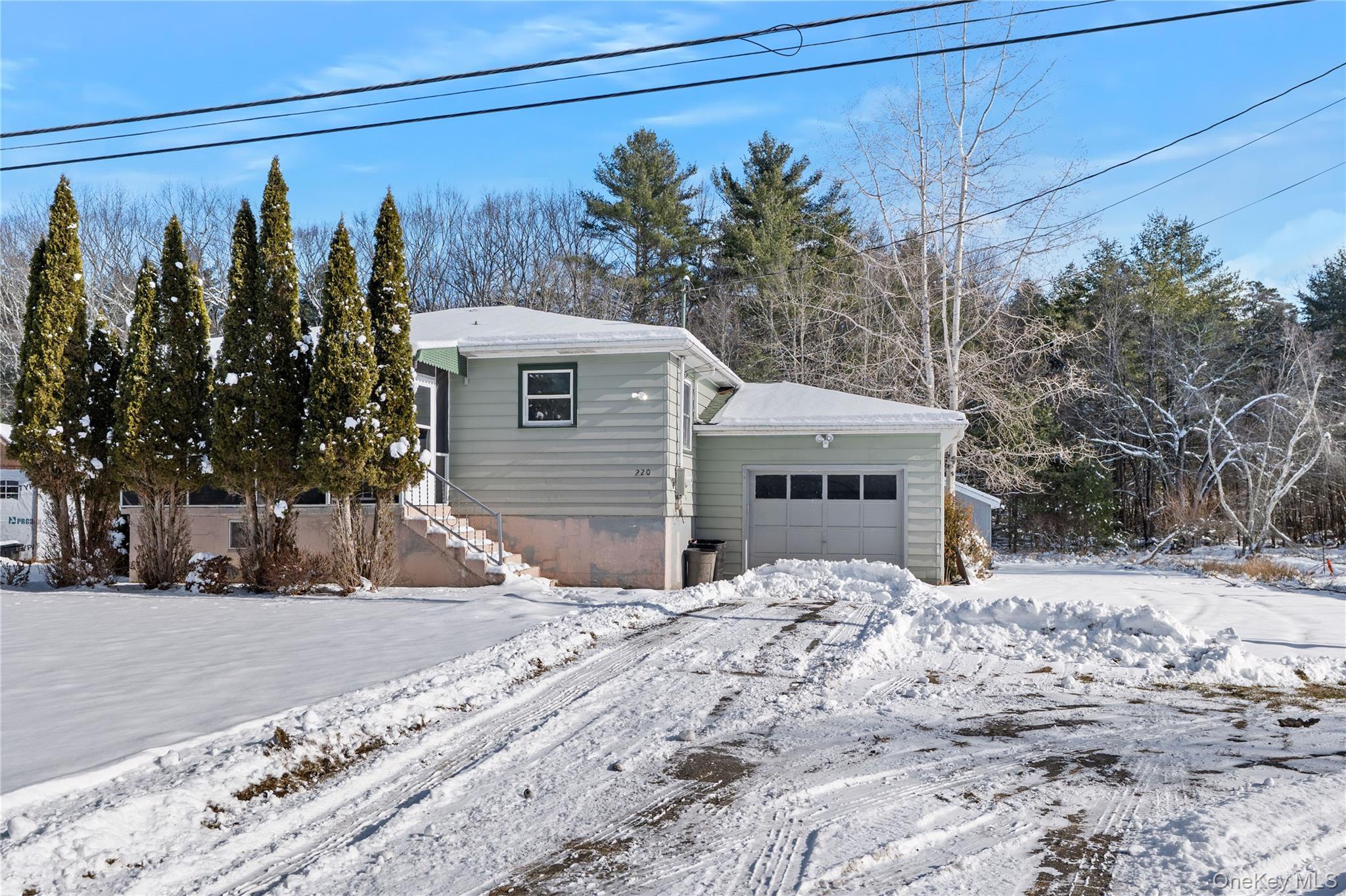 Single Family County Road 21  Sullivan County, NY 12719, MLS-954045-2