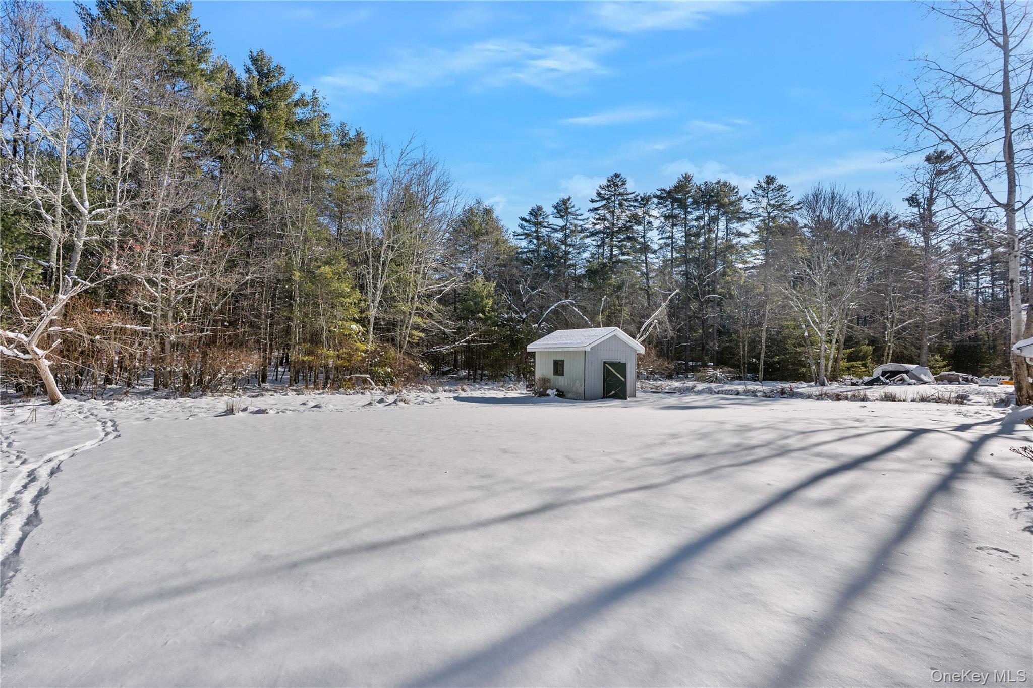 Single Family County Road 21  Sullivan County, NY 12719, MLS-954045-26