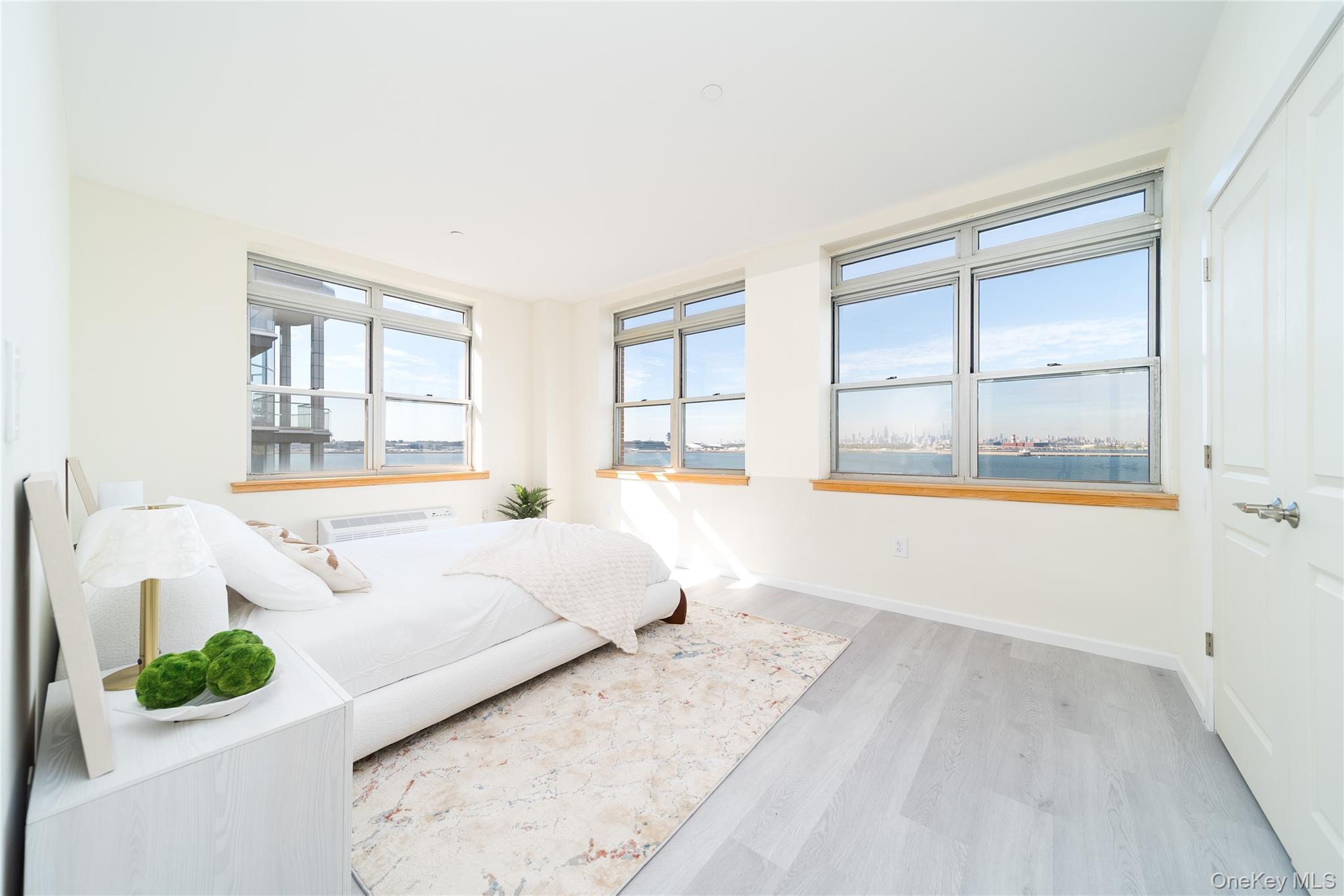 Condo 110th  Queens, NY 11356, MLS-954064-7