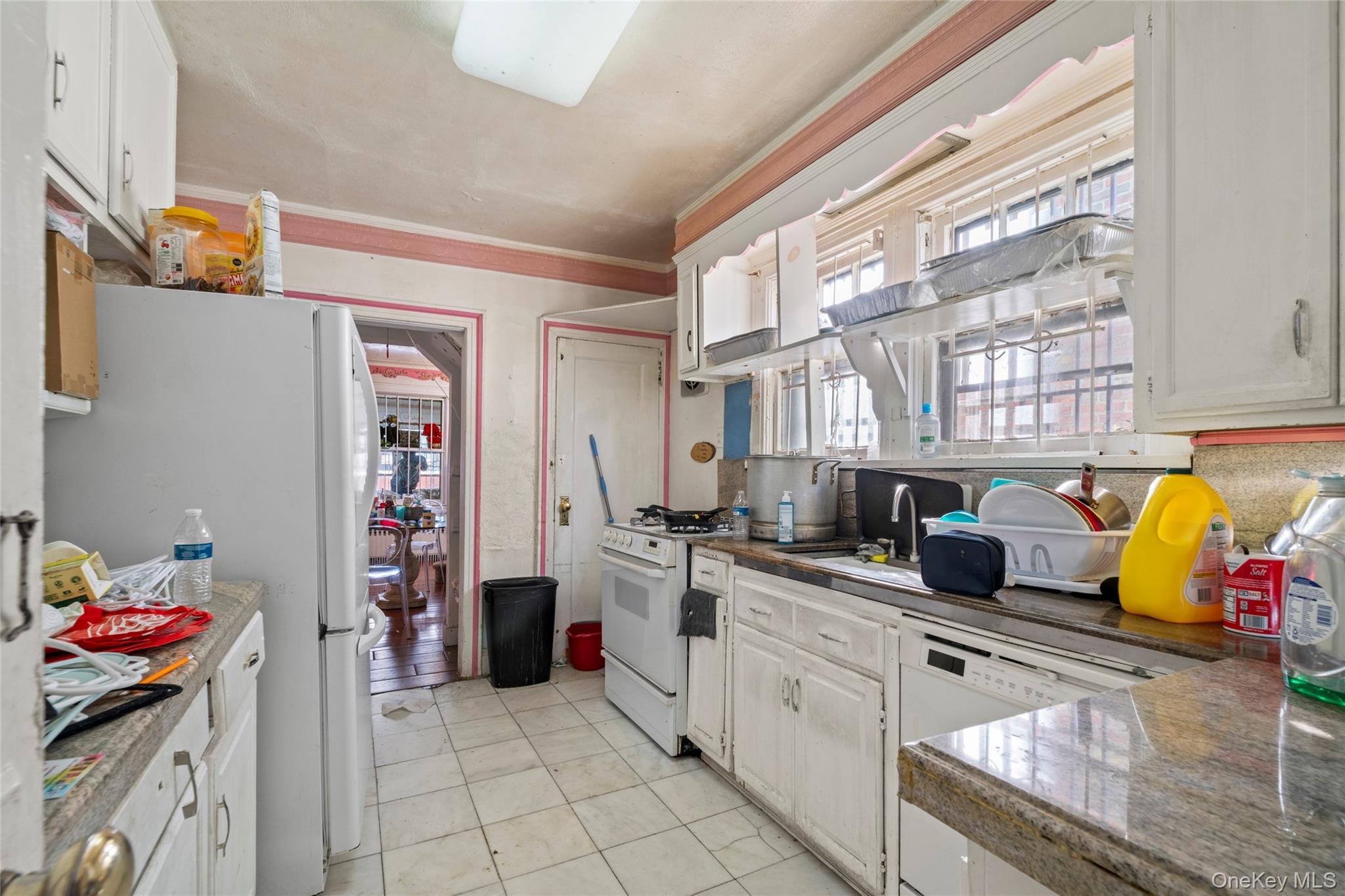 Single Family Linden  Brooklyn, NY 11203, MLS-954167-9