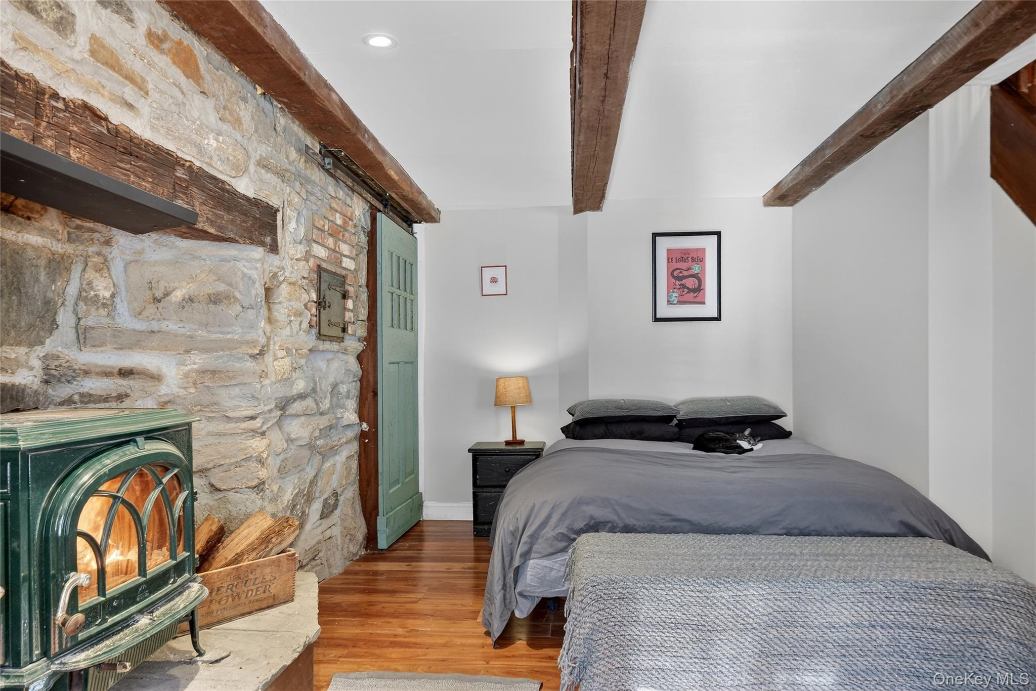 Single Family Old Route 55  Dutchess County, NY 12564, MLS-954200-30