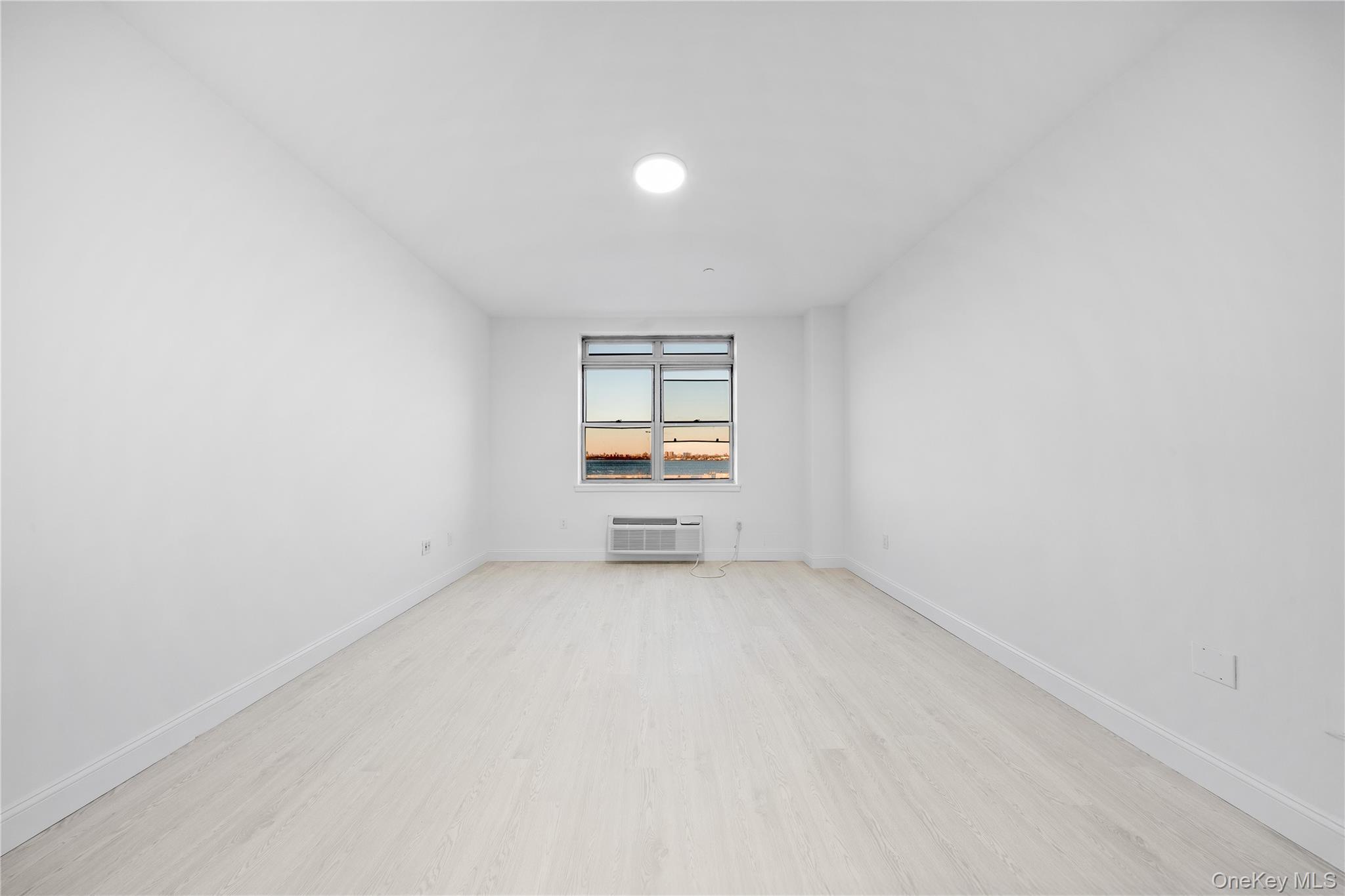 Condo 110th  Queens, NY 11356, MLS-954327-3