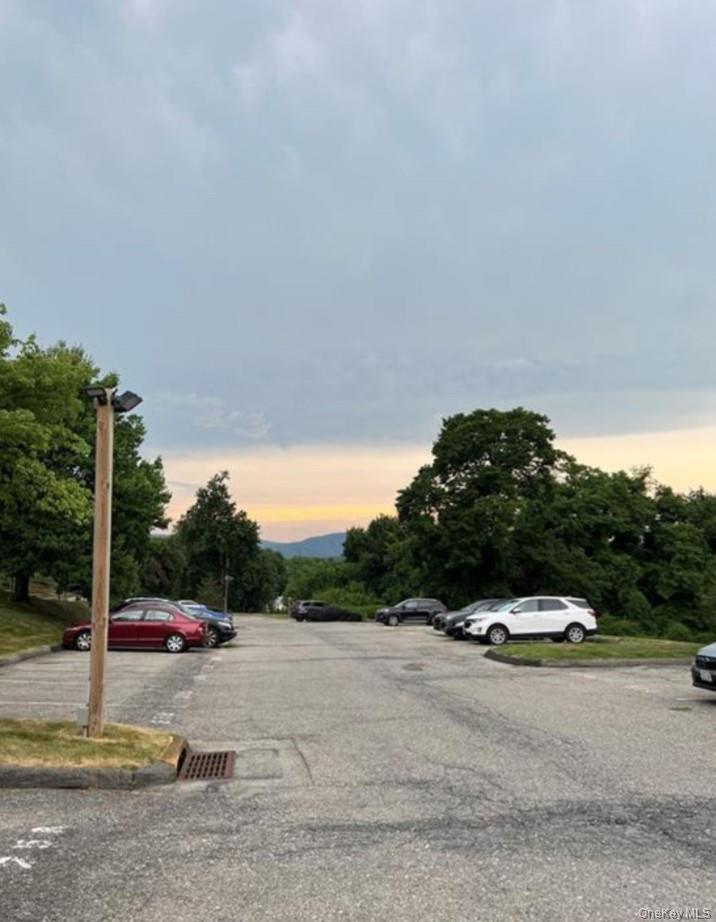 Condo Villa At The Woods  Westchester County, NY 10566, MLS-954330-29